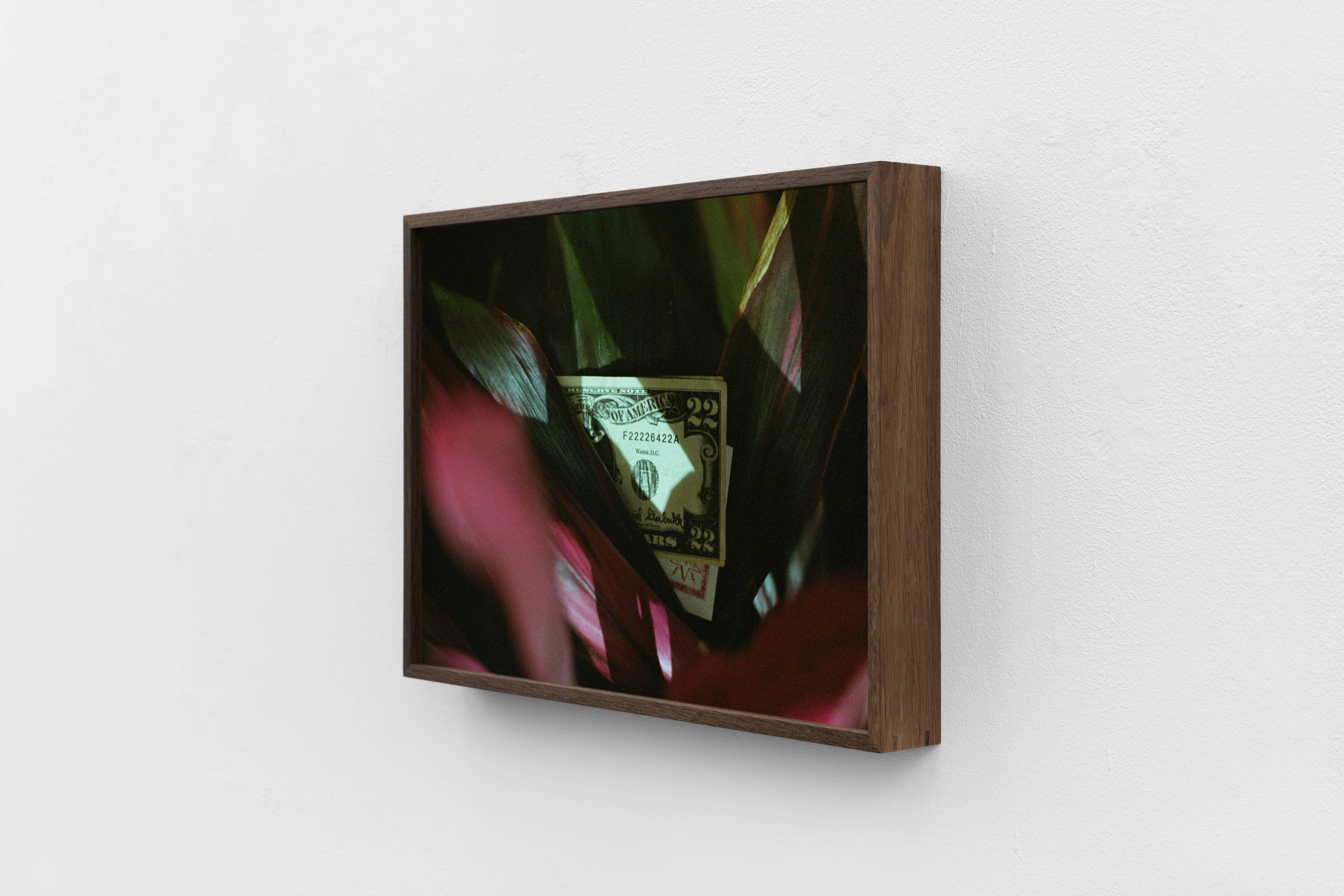 Media © Sweetwater 2025