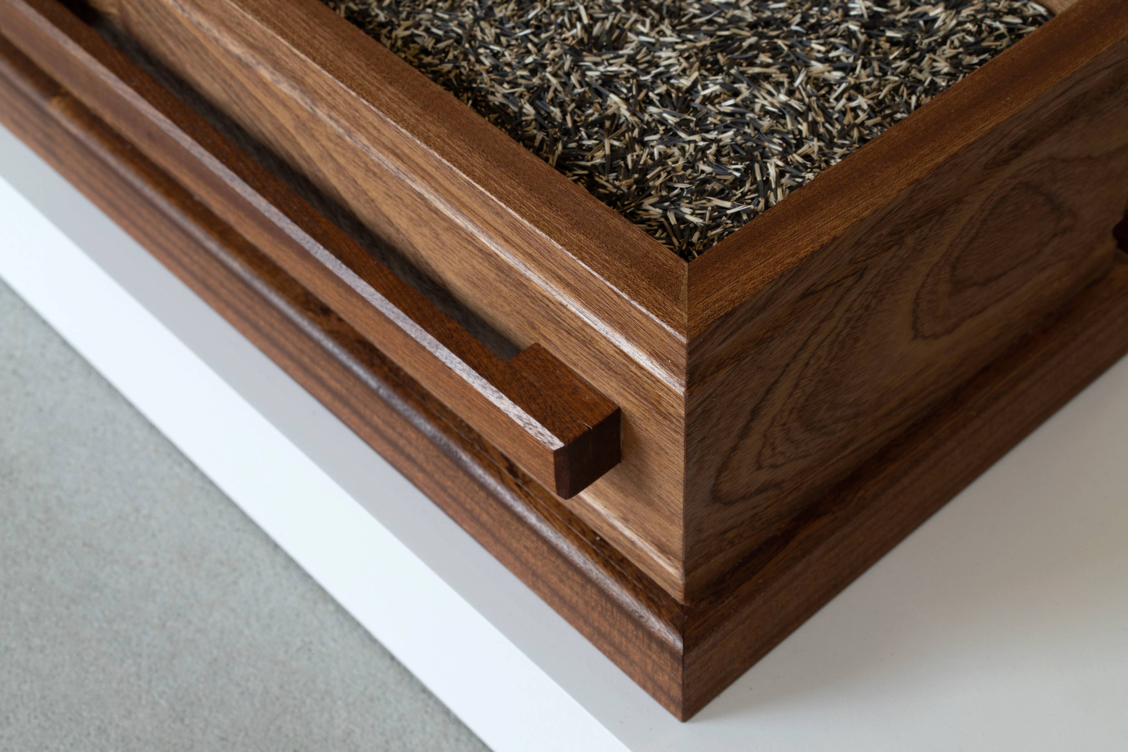 Media © Sweetwater 2025