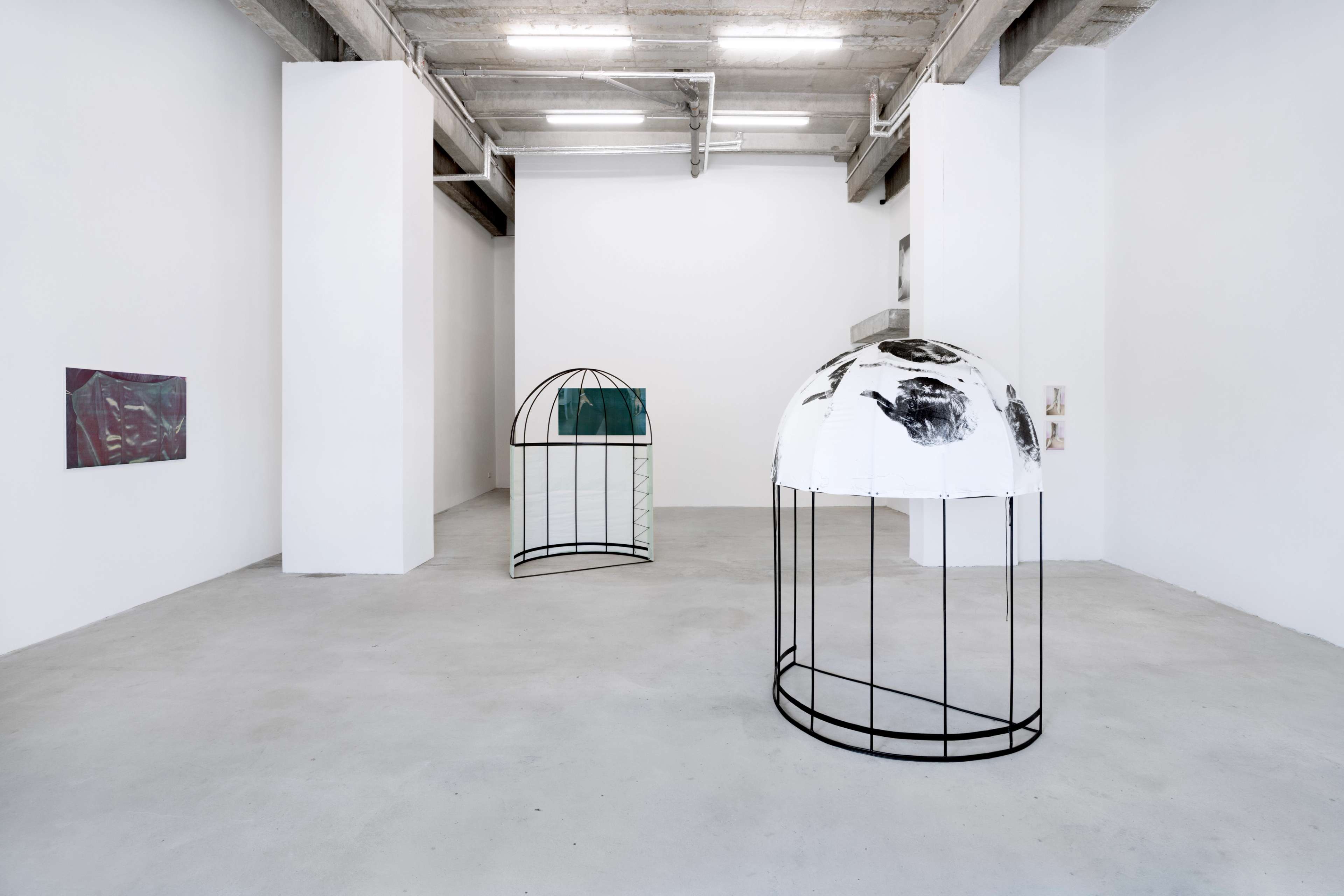 Media © Sweetwater 2025