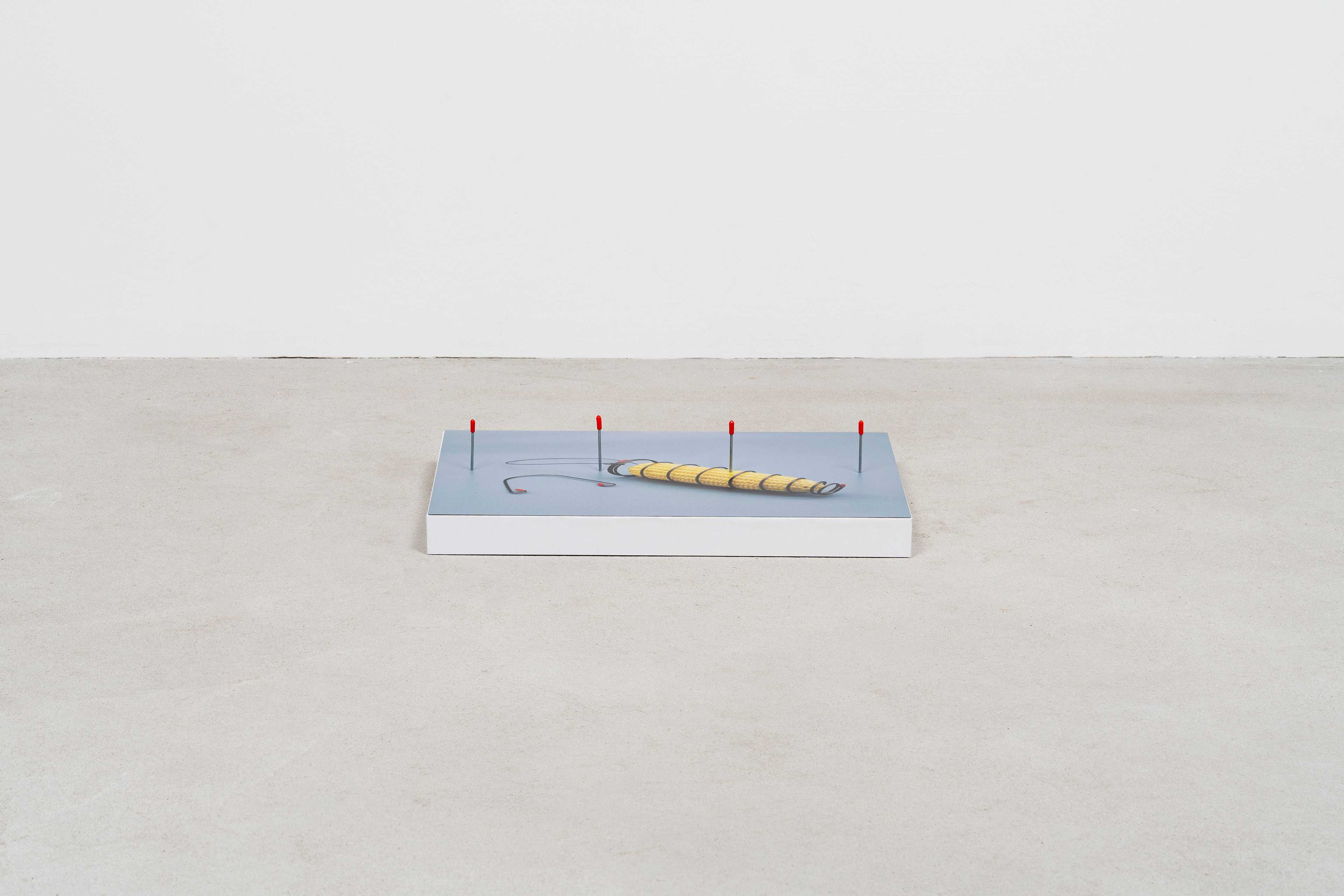 Jesse Stecklow
