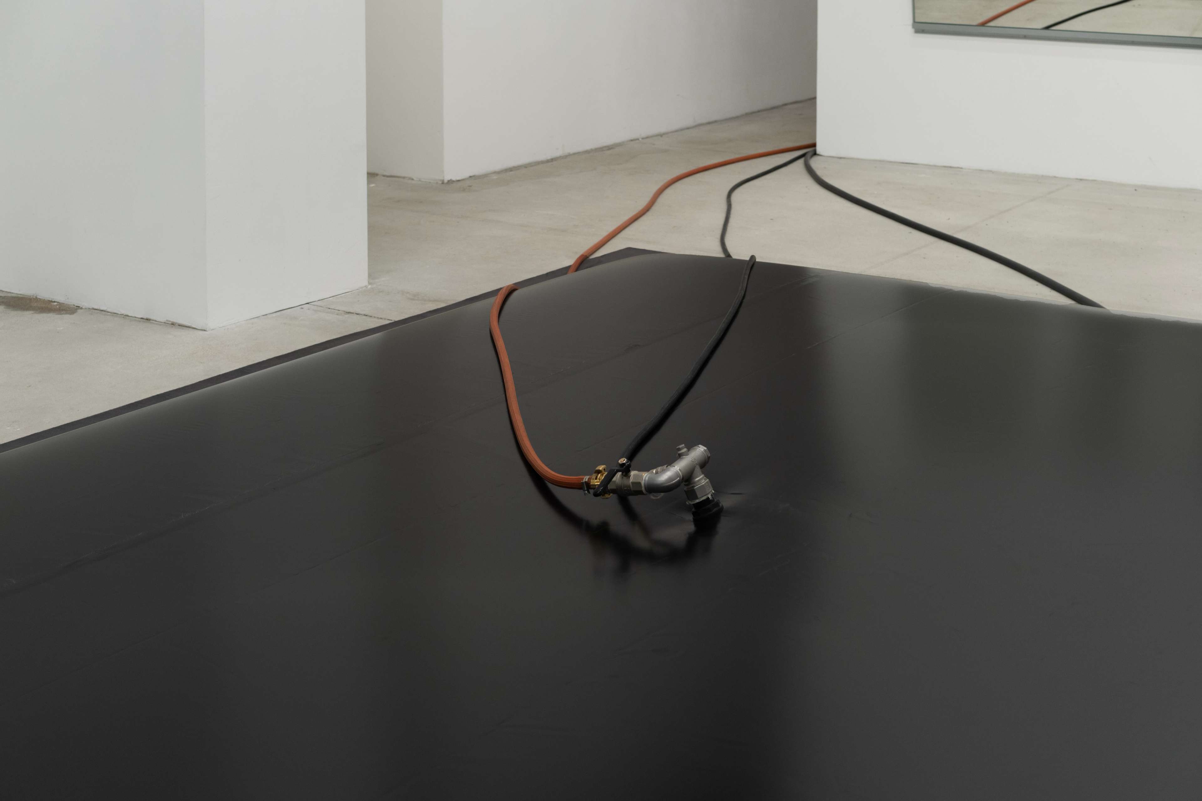 Media © Sweetwater 2025