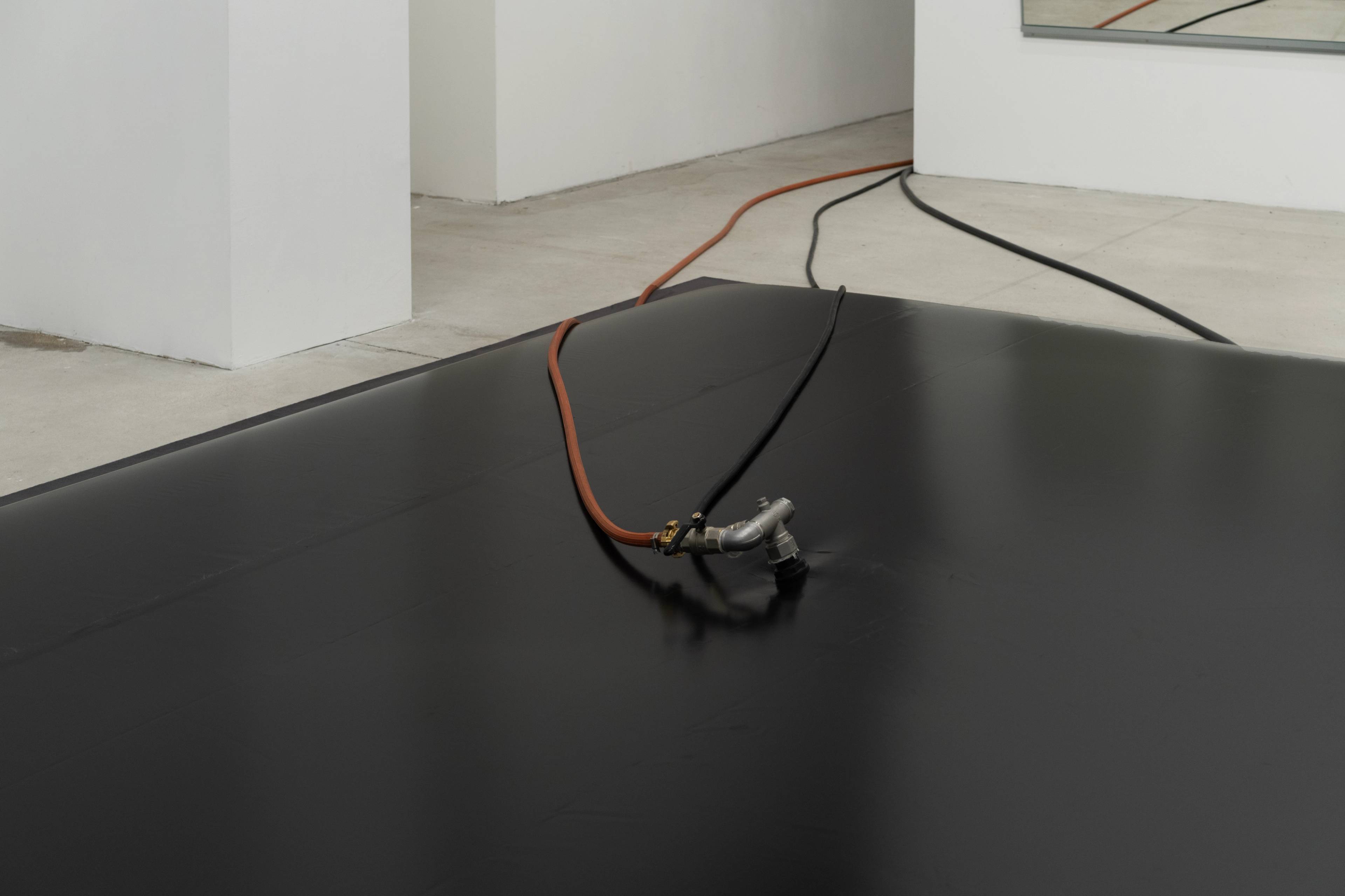 Media © Sweetwater 2025