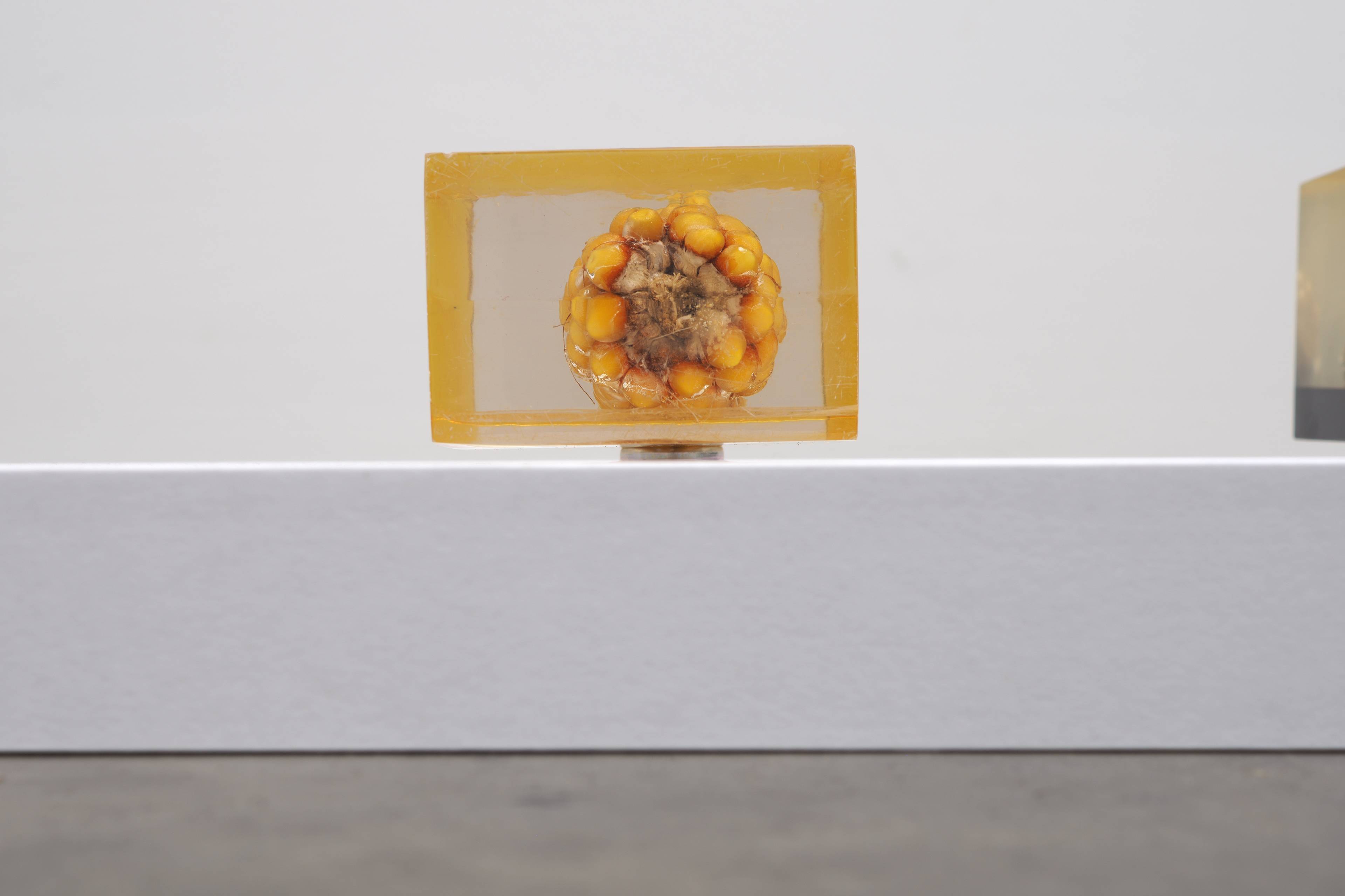 Media © Sweetwater 2025