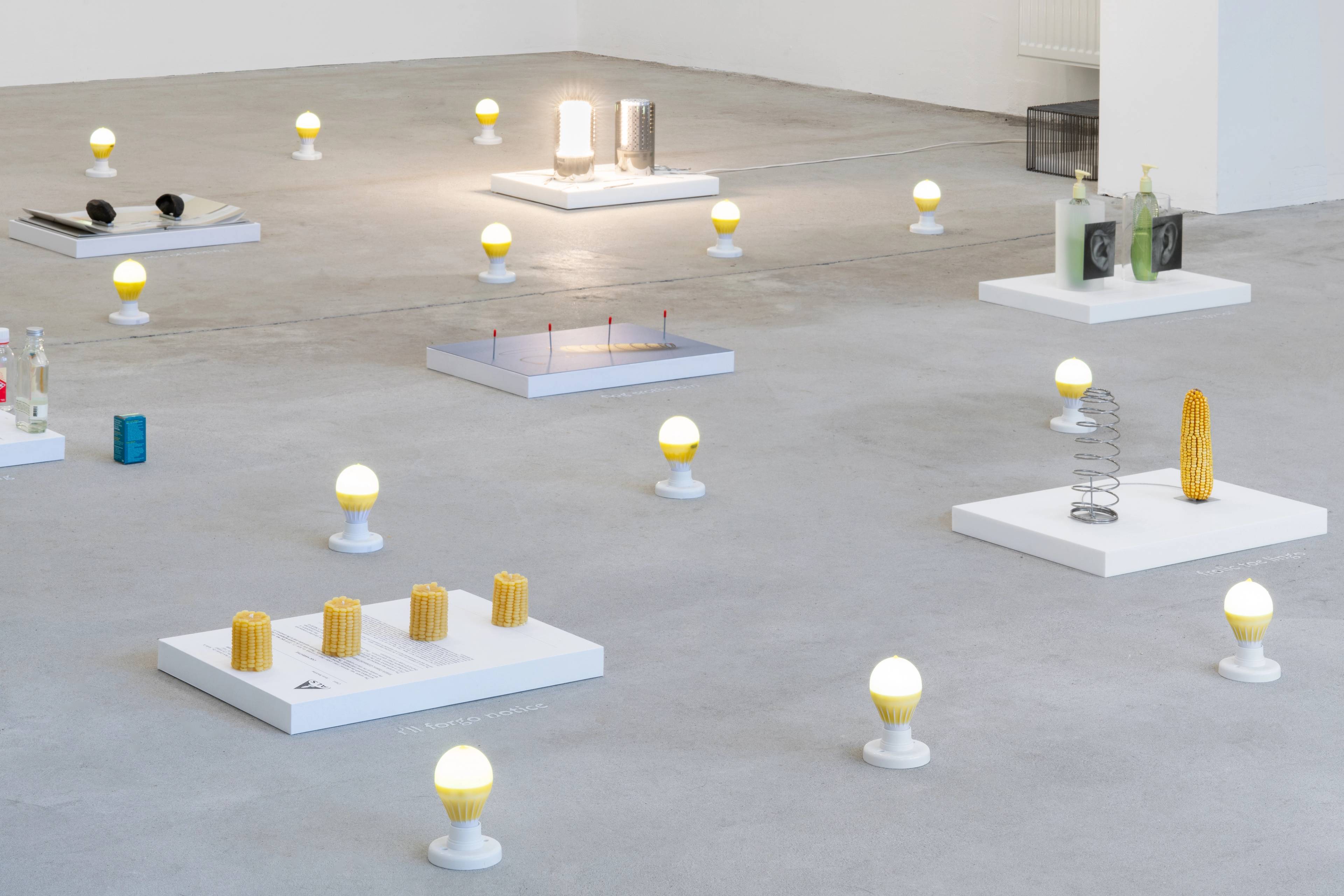 Media © Sweetwater 2025