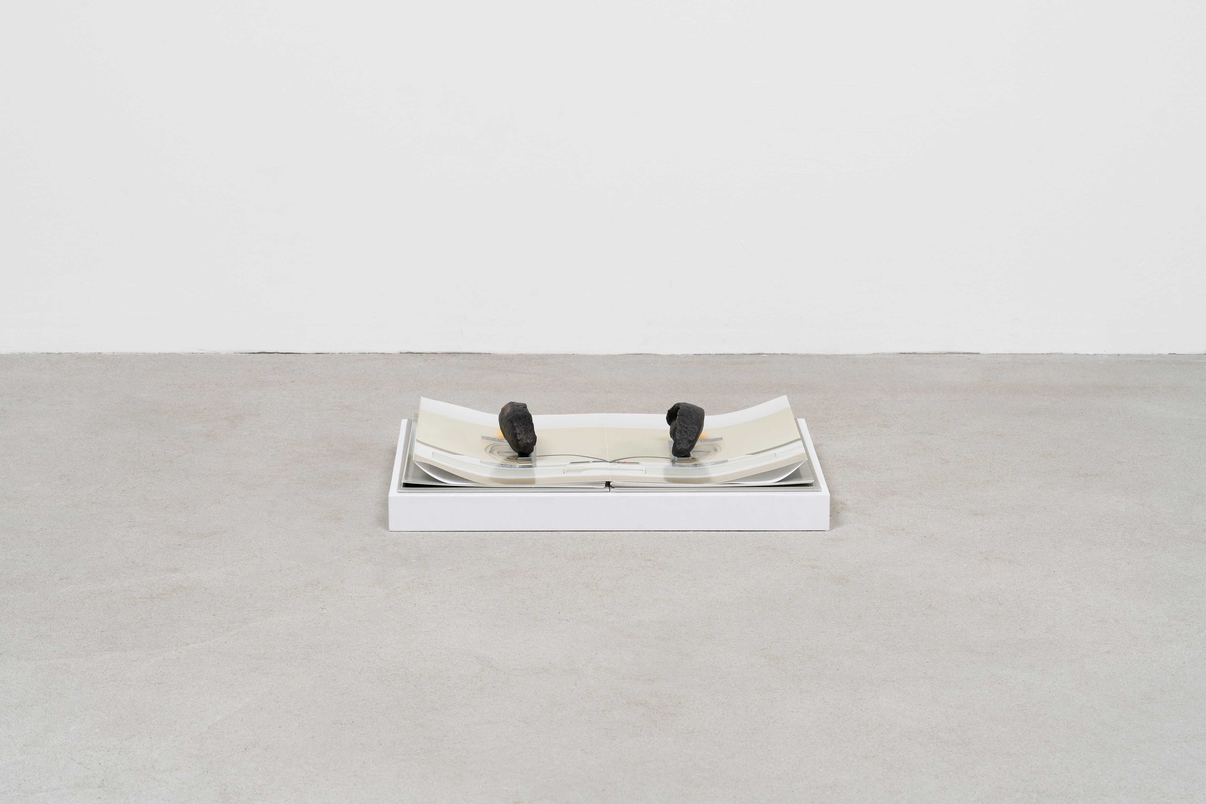 Jesse Stecklow