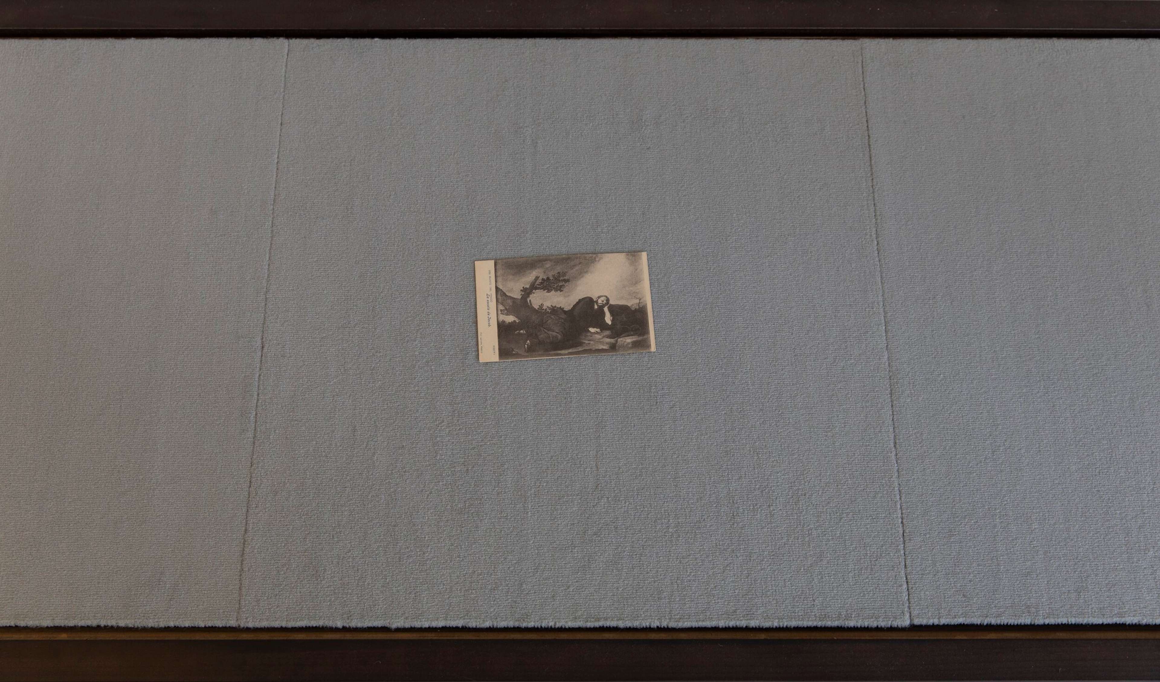 Media © Sweetwater 2025