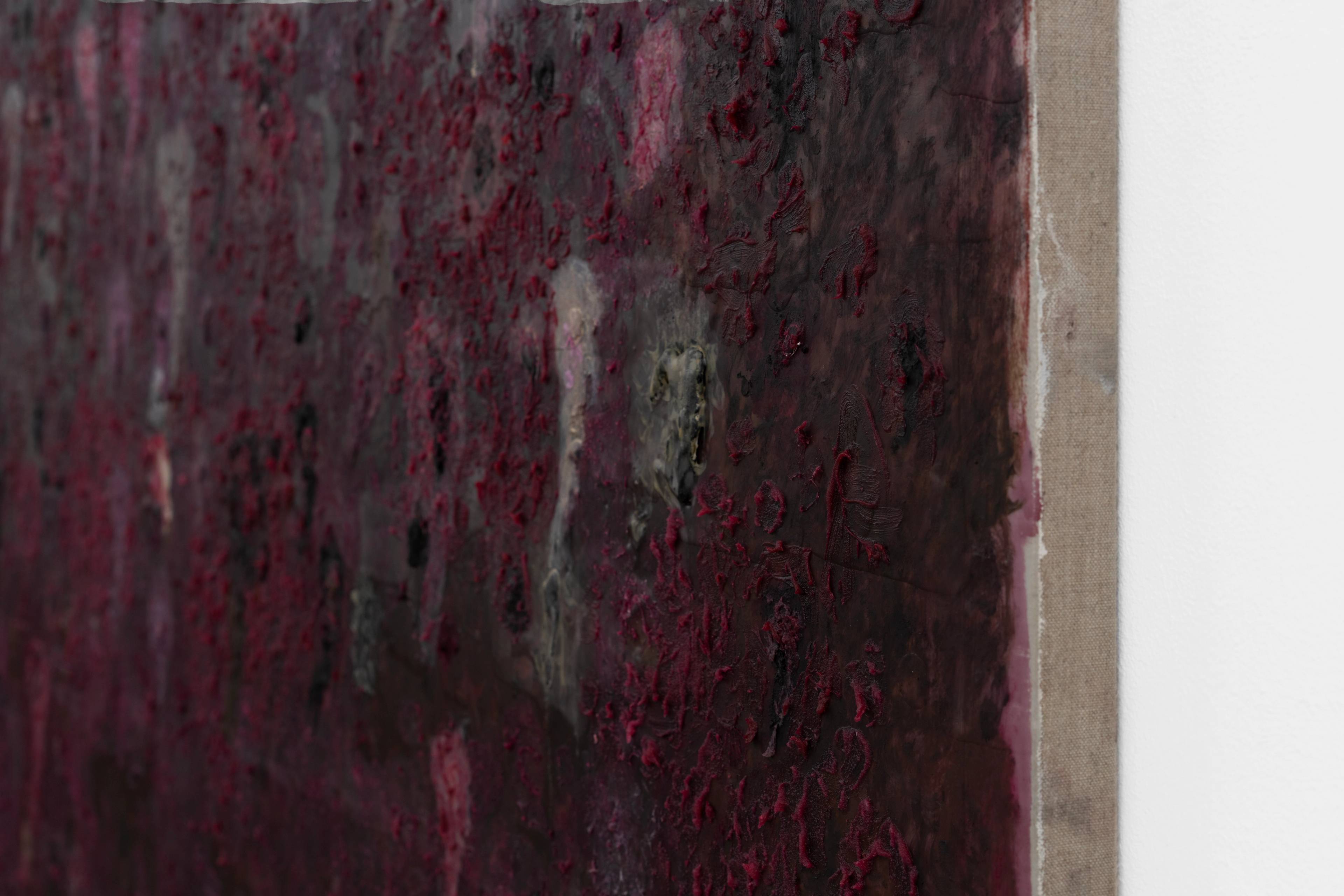 Media © Sweetwater 2025