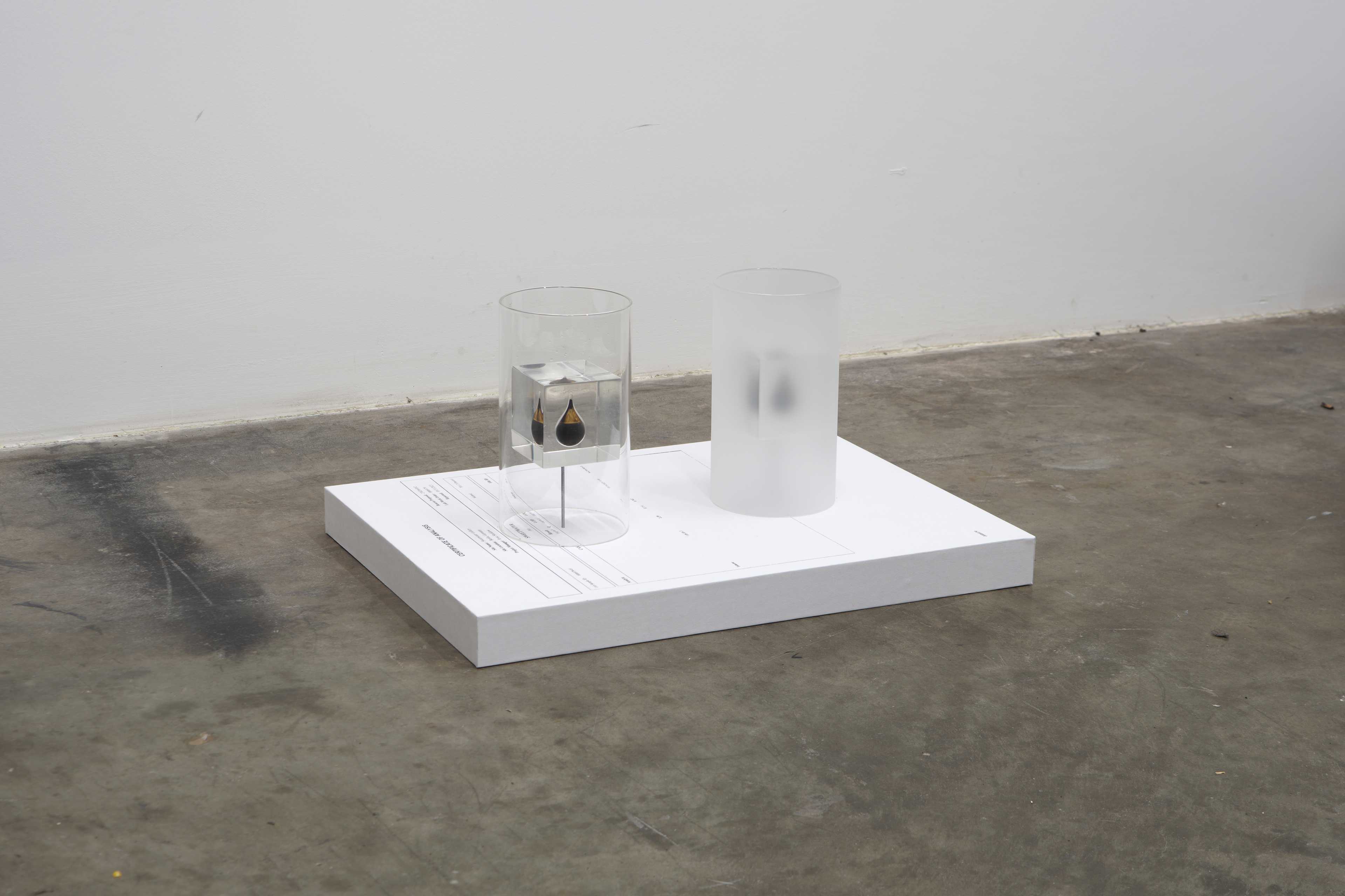 Jesse Stecklow