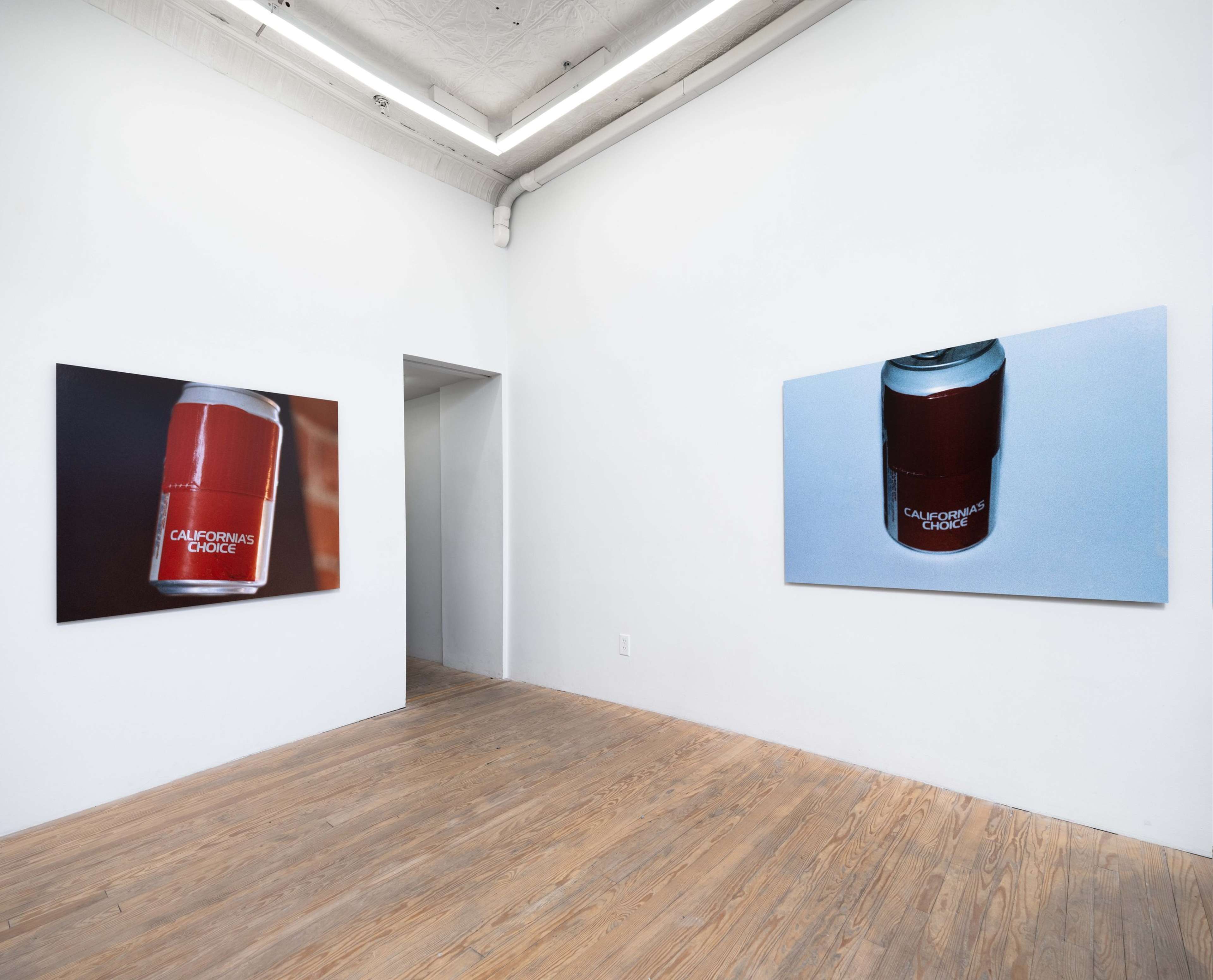 Megan Plunkett installation view at Dracula's Revenge, 2025.