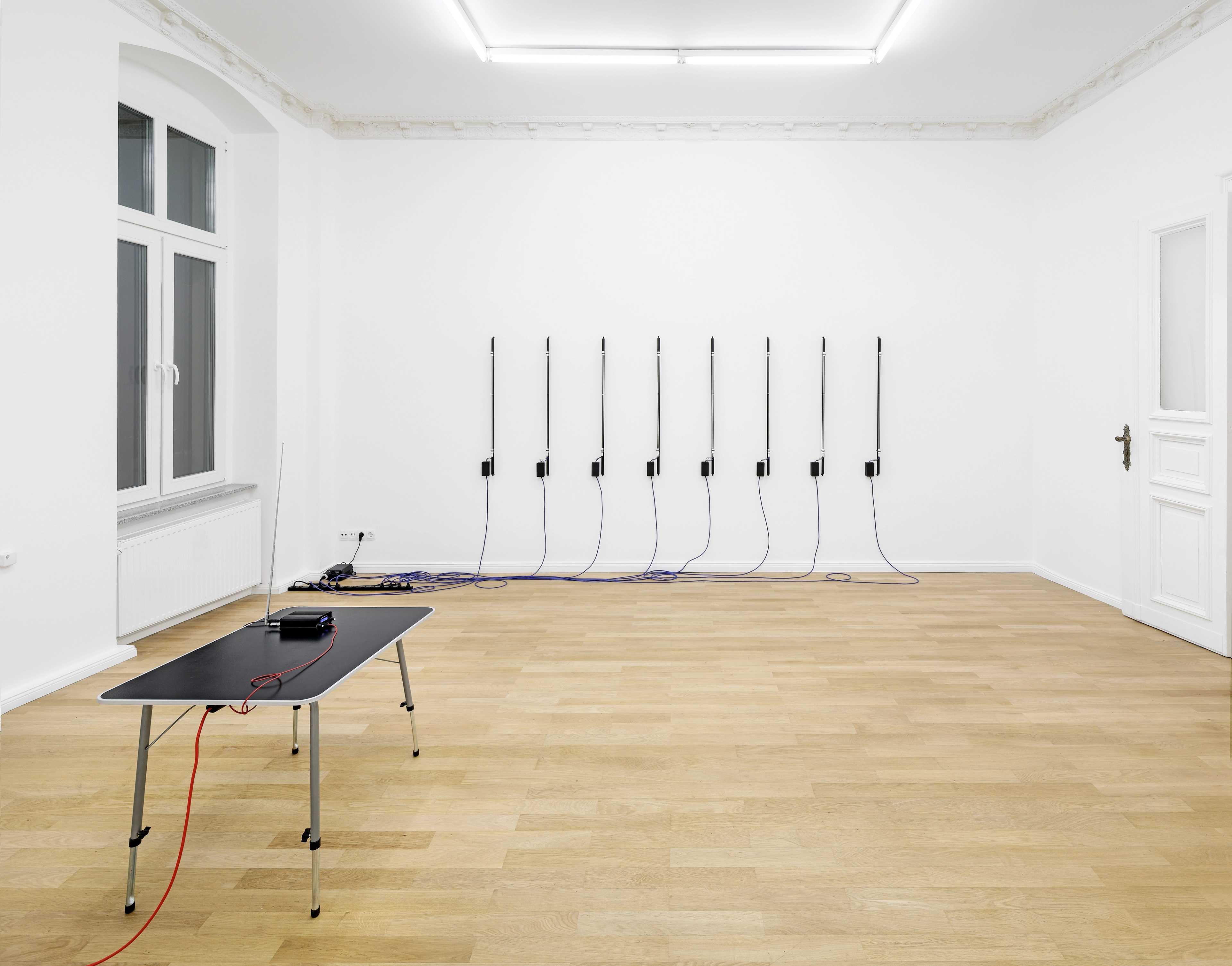 Installation view: Christopher Aque, _Red-blooded, White-skinned, and the Blues_ at Sweetwater