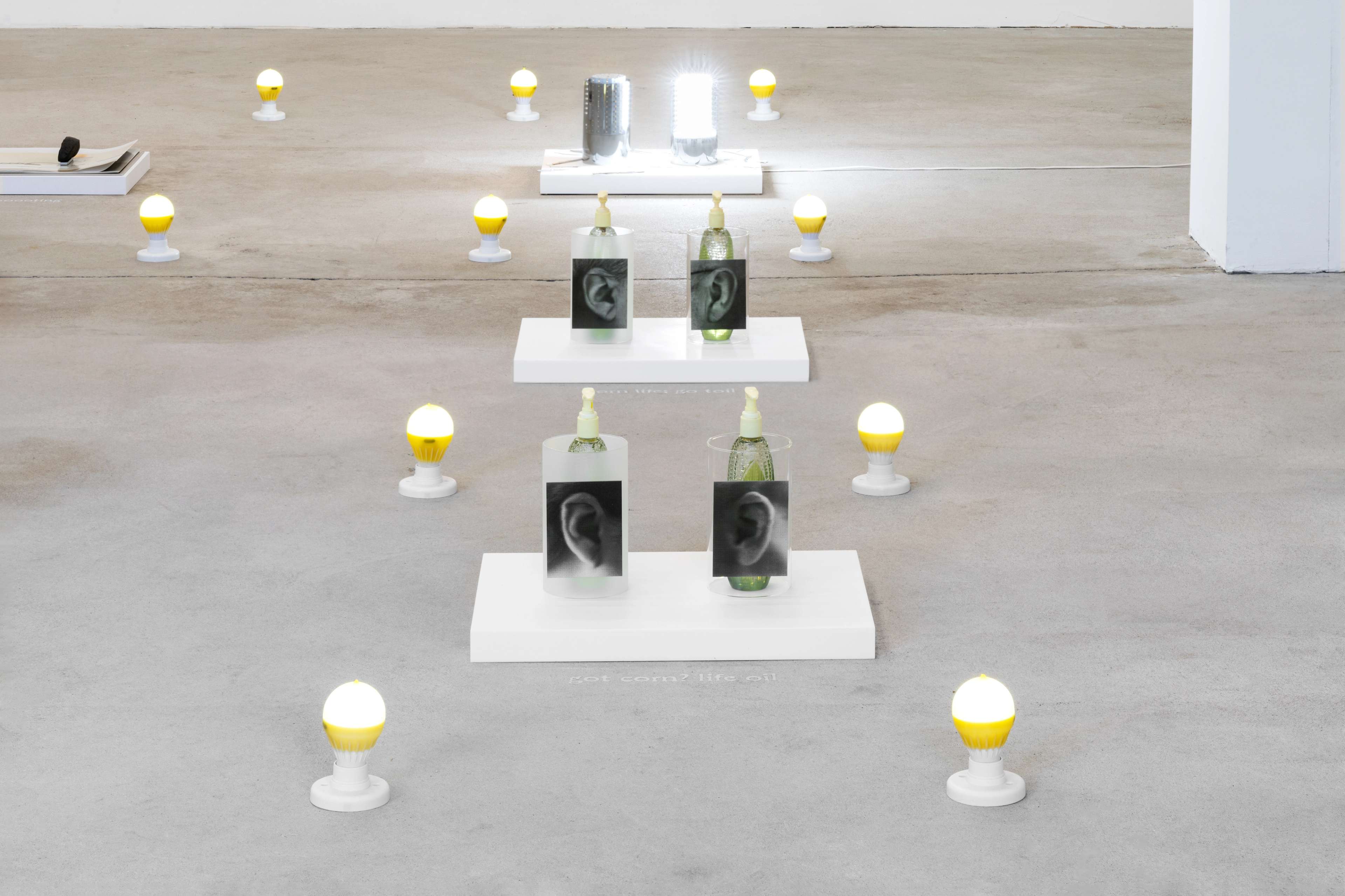 Media © Sweetwater 2025