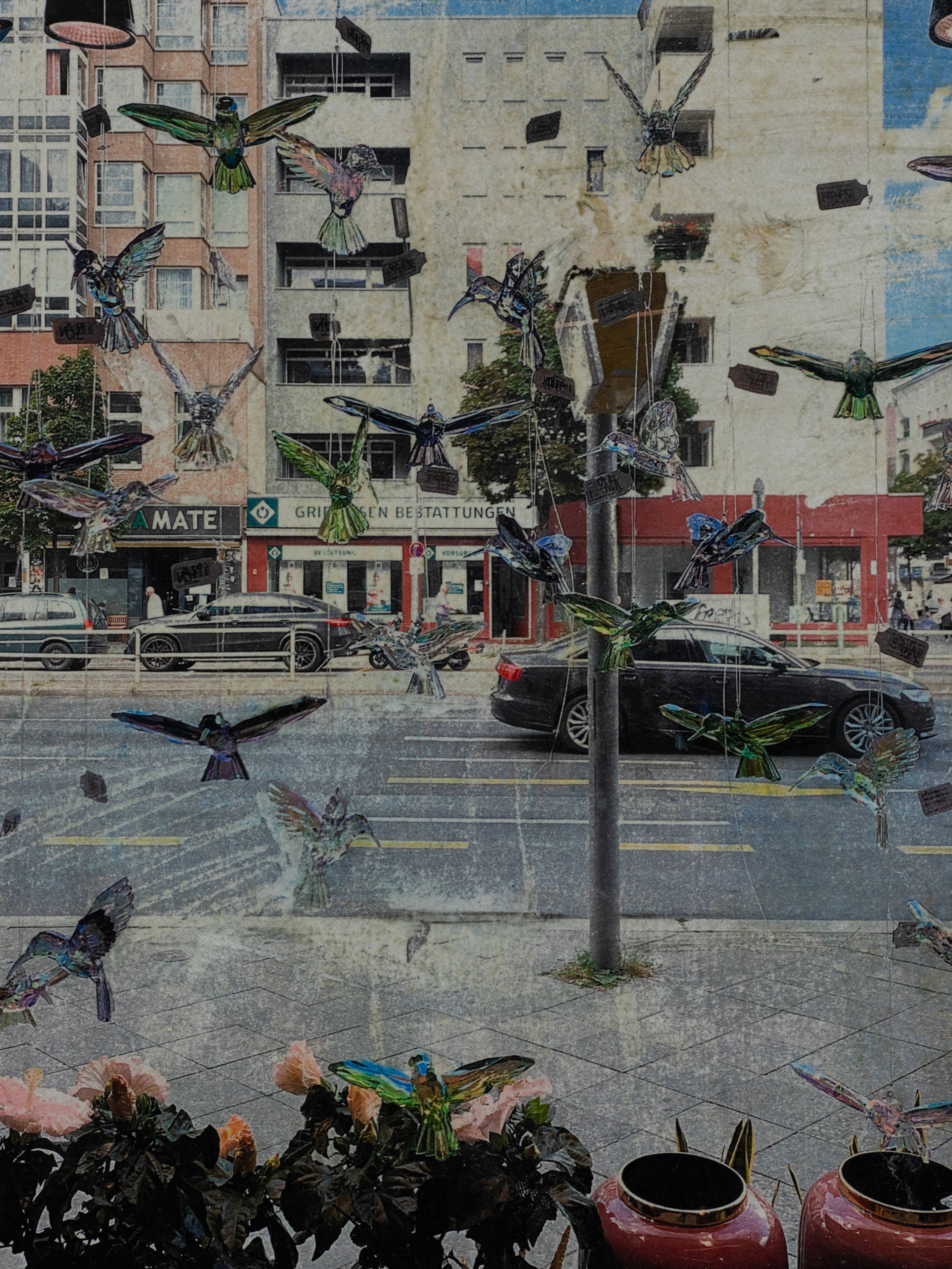 Media © Sweetwater 2025