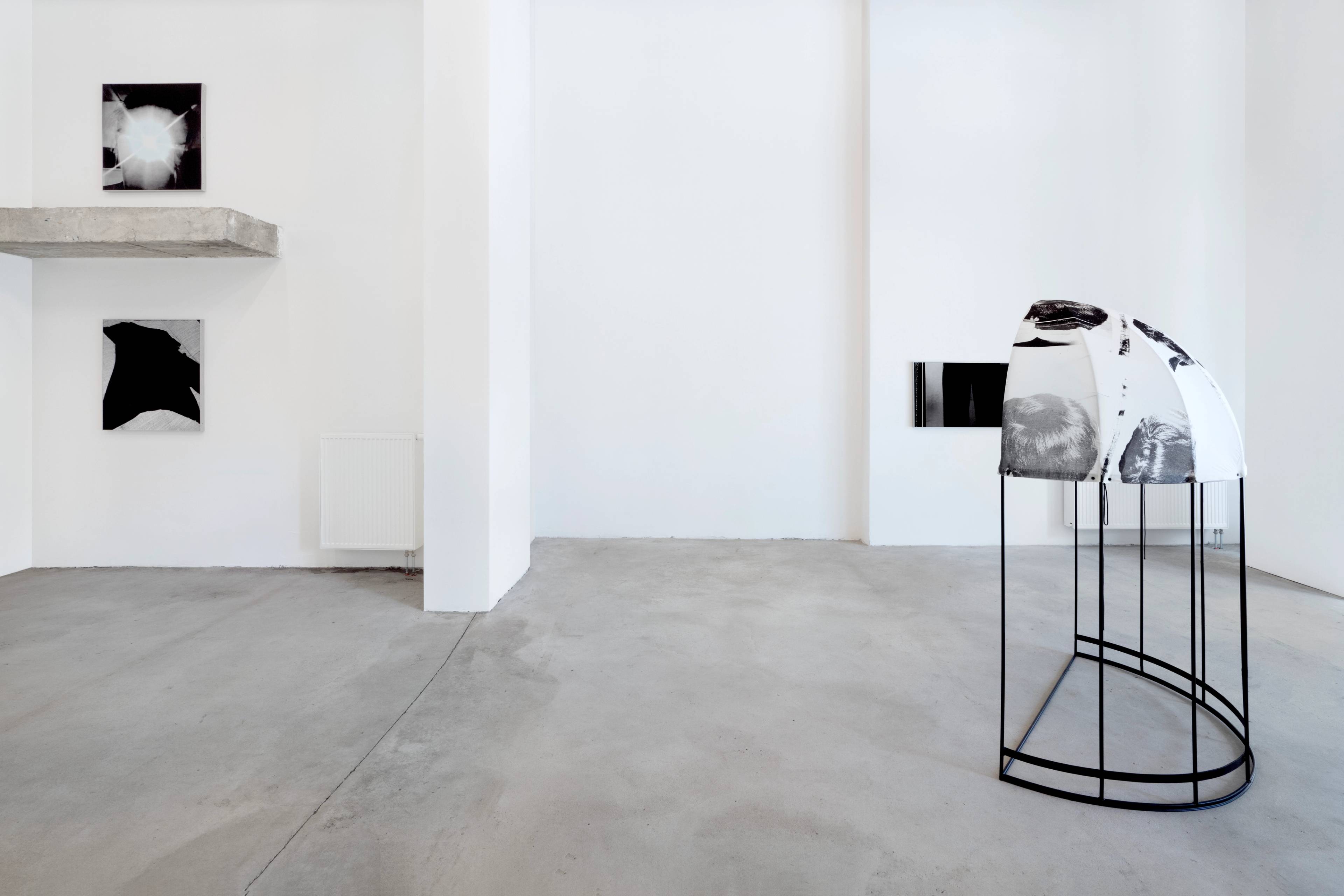 Media © Sweetwater 2025