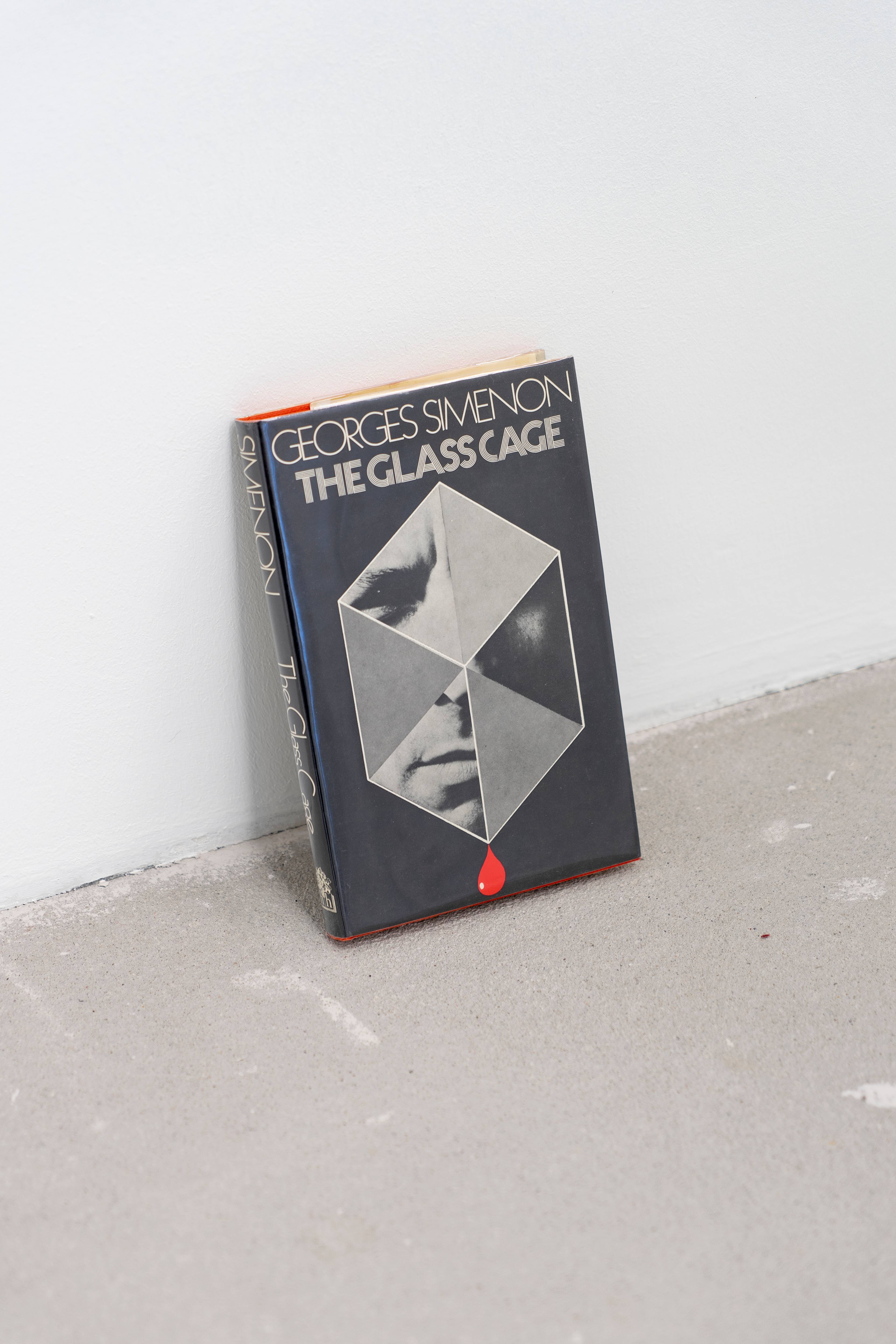 Media © Sweetwater 2025