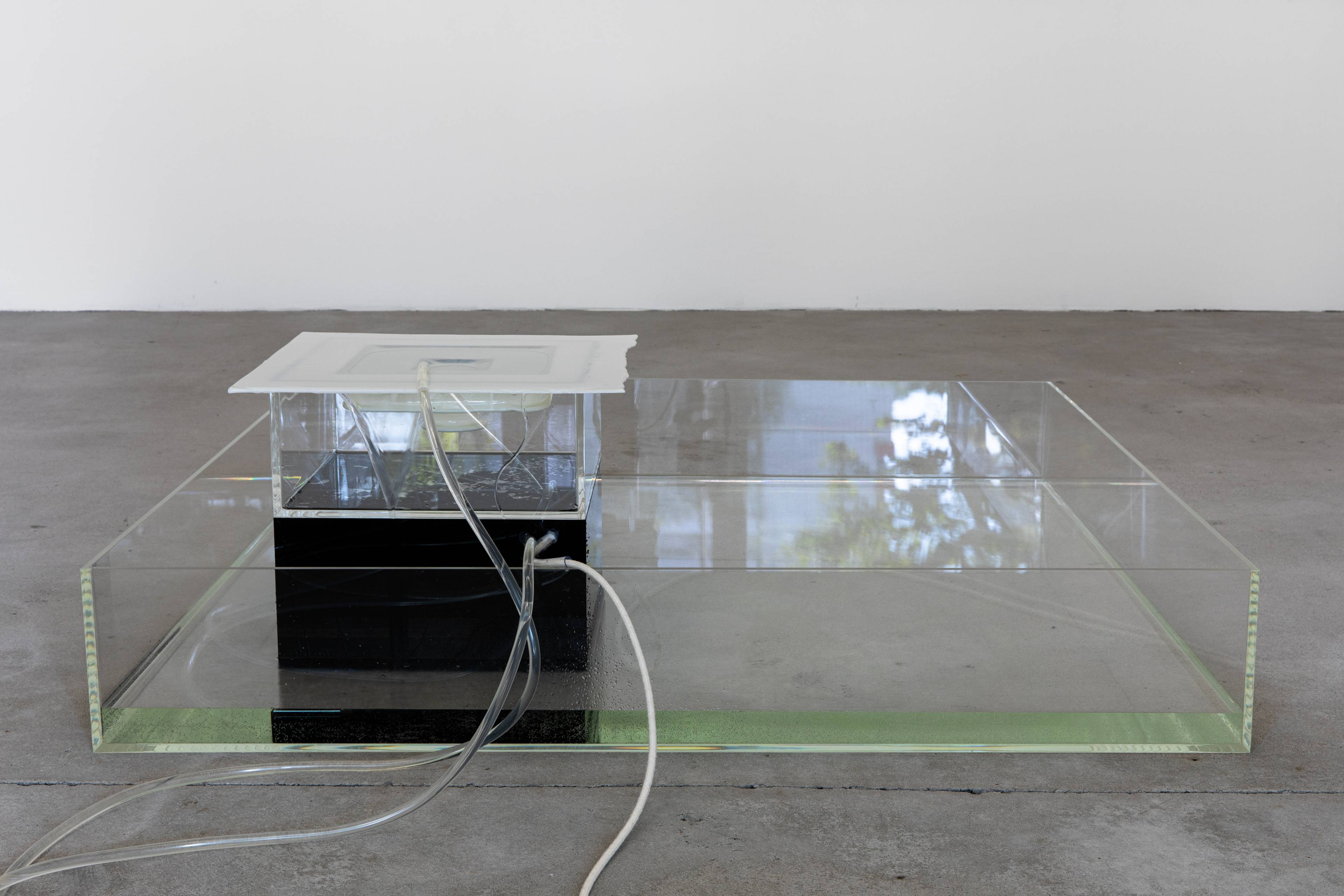 Media © Sweetwater 2025