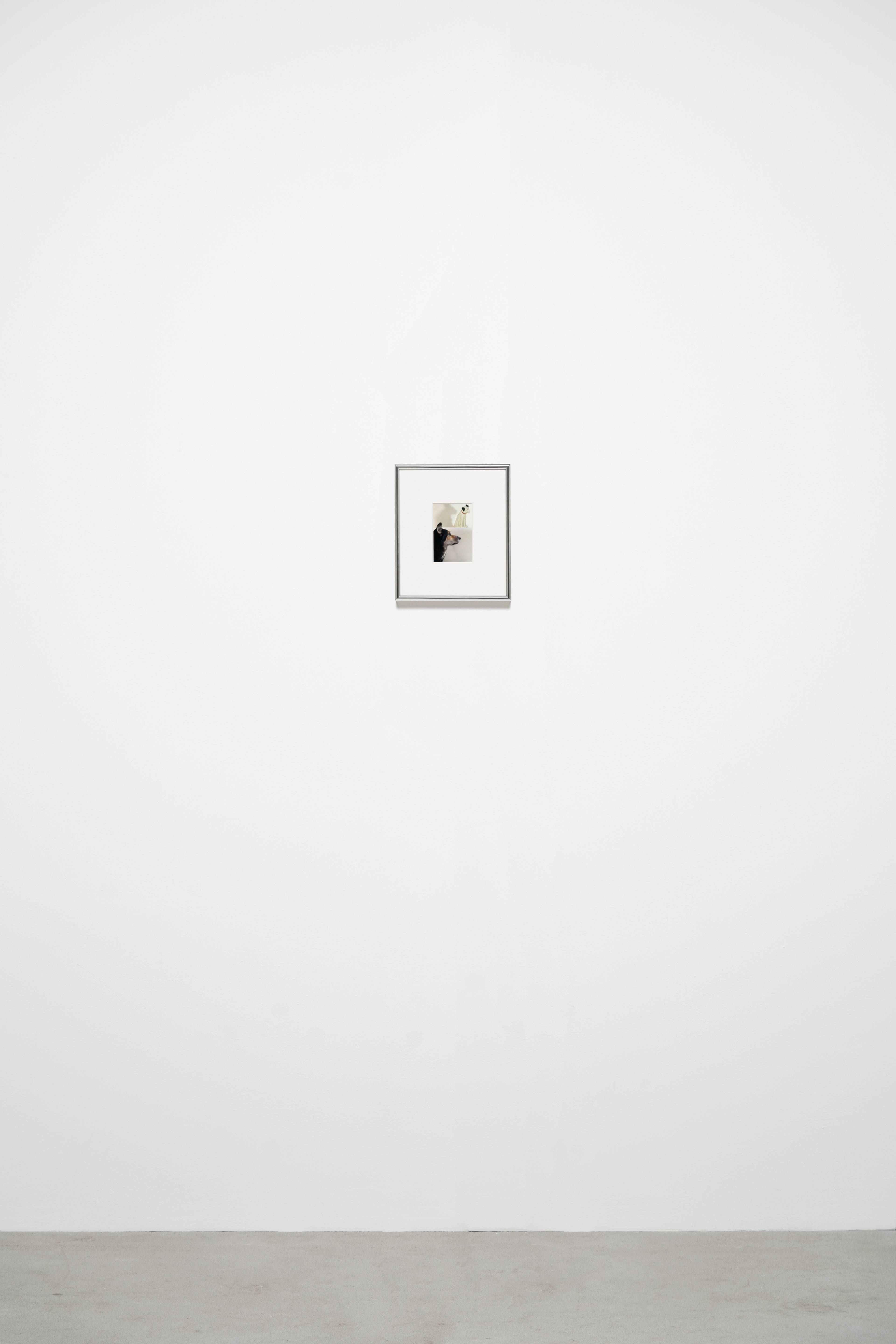 Media © Sweetwater 2025