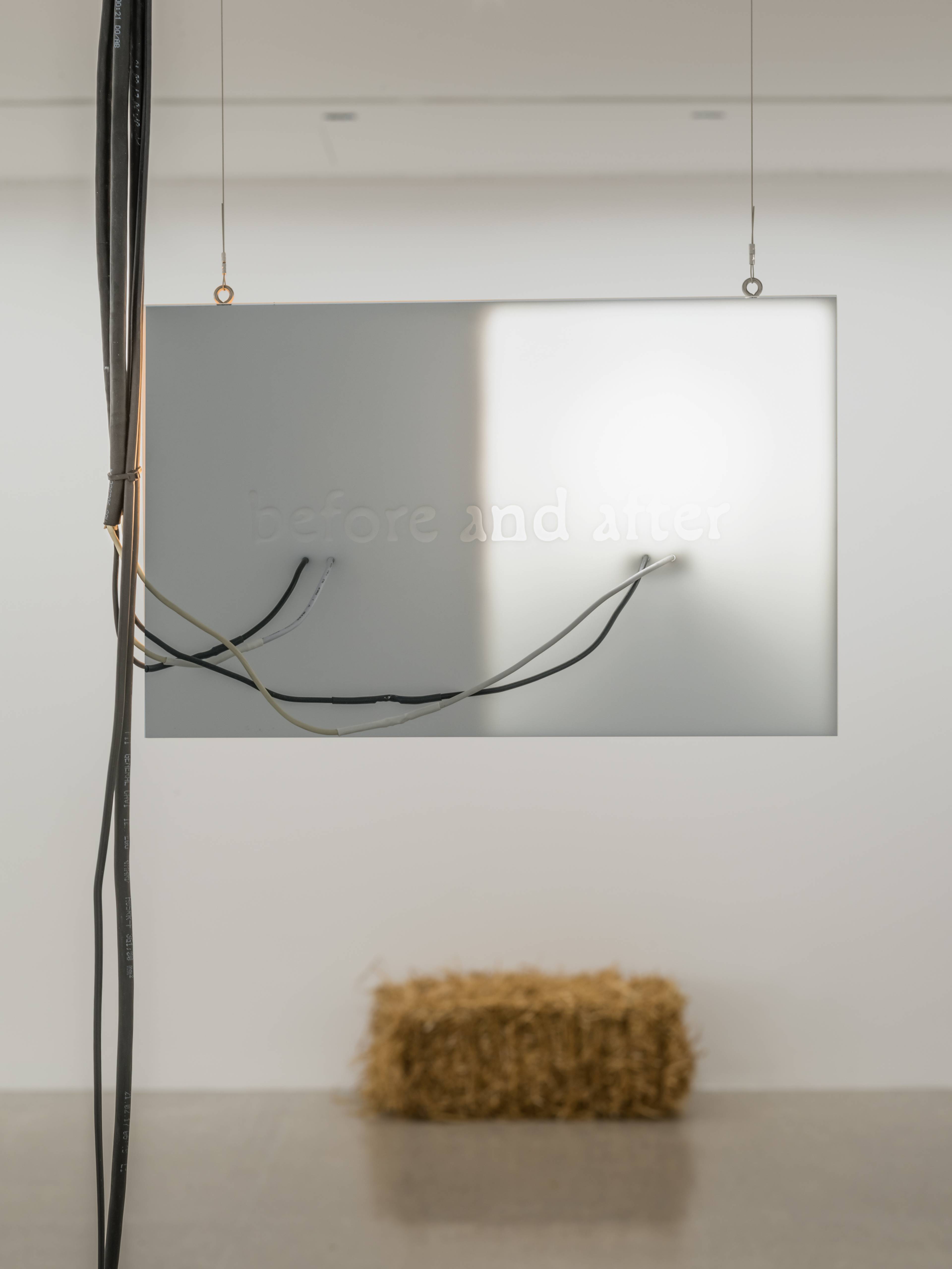 Media © Sweetwater 2025