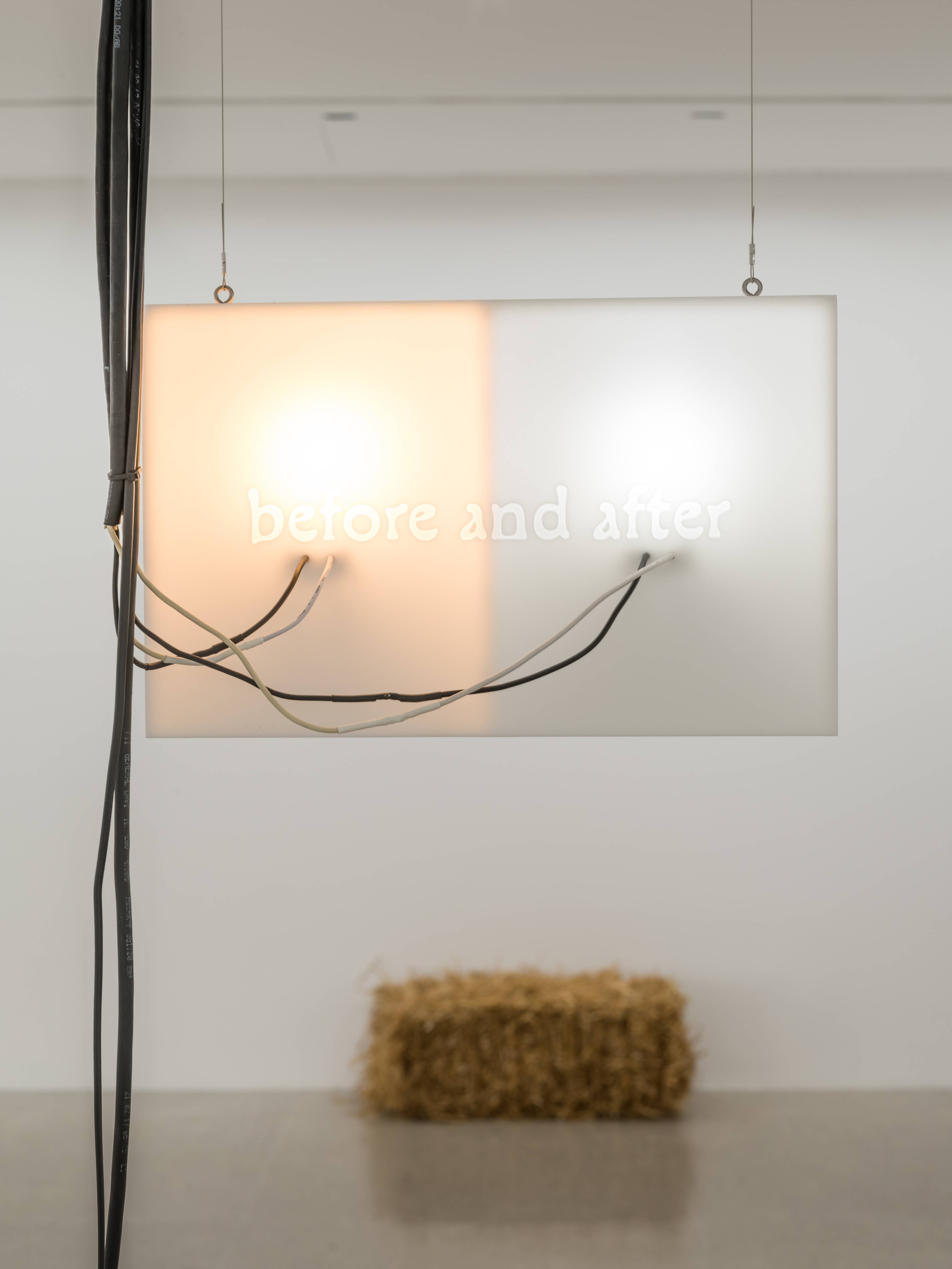 Media © Sweetwater 2025