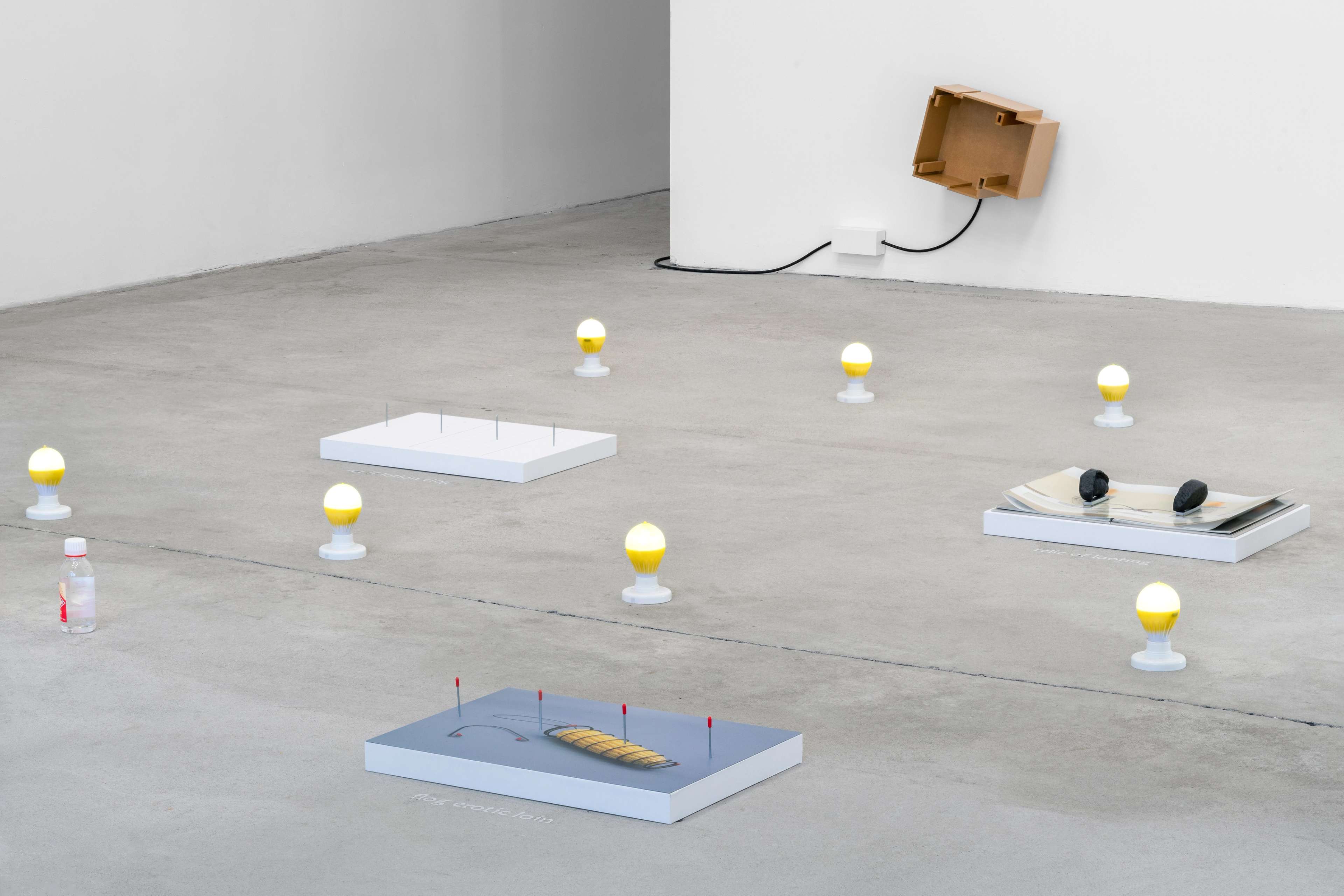 Media © Sweetwater 2025