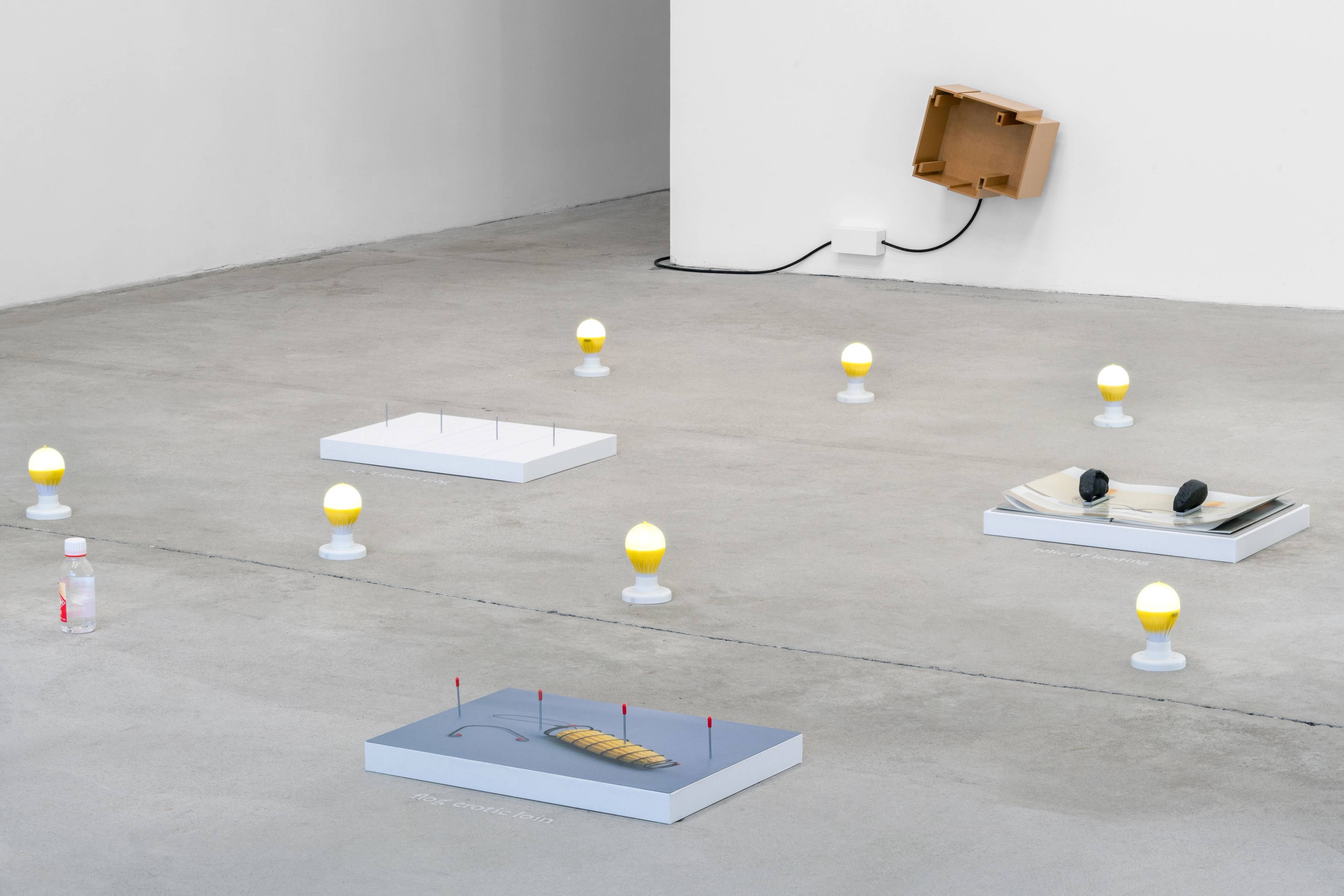 Media © Sweetwater 2025