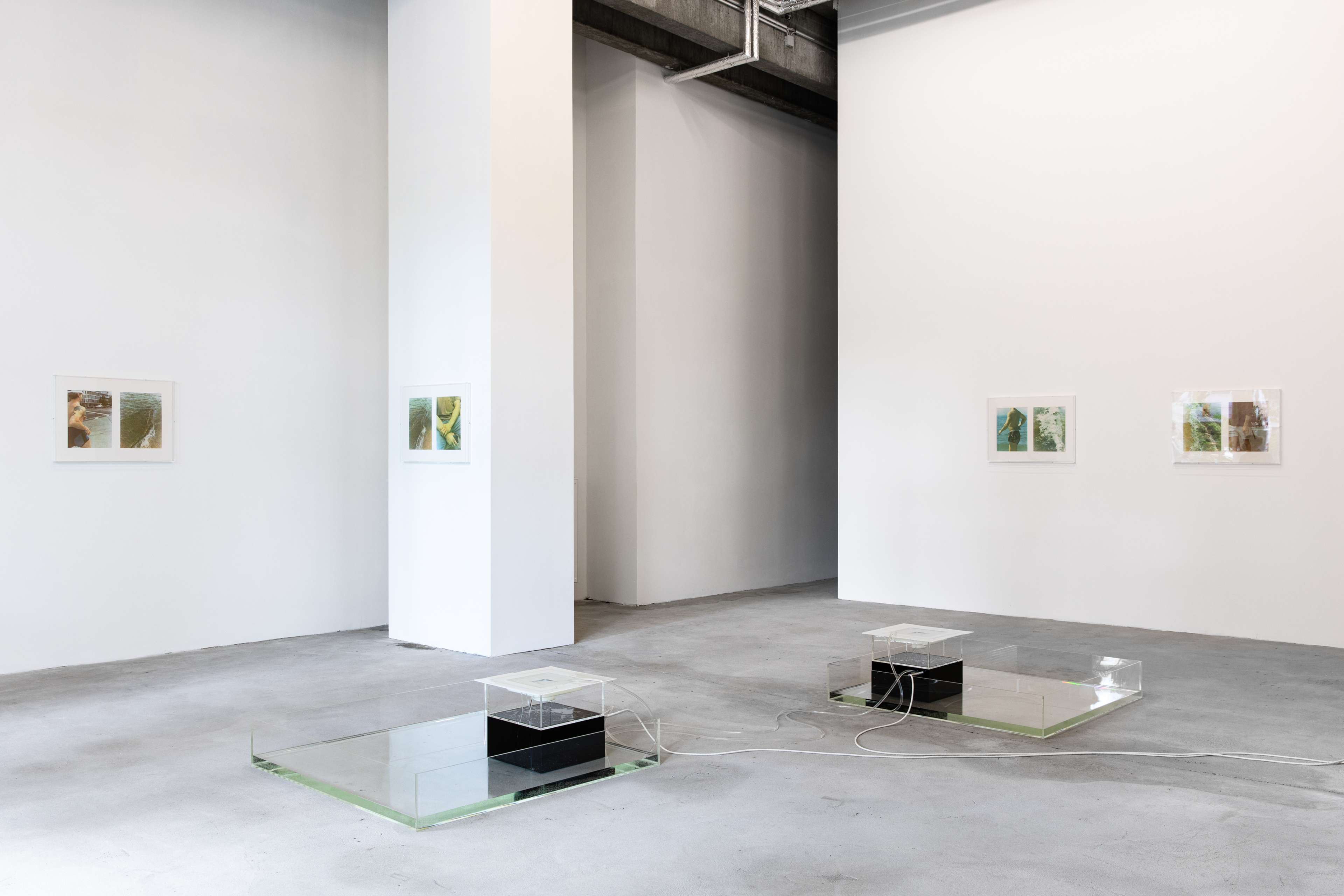 Media © Sweetwater 2025