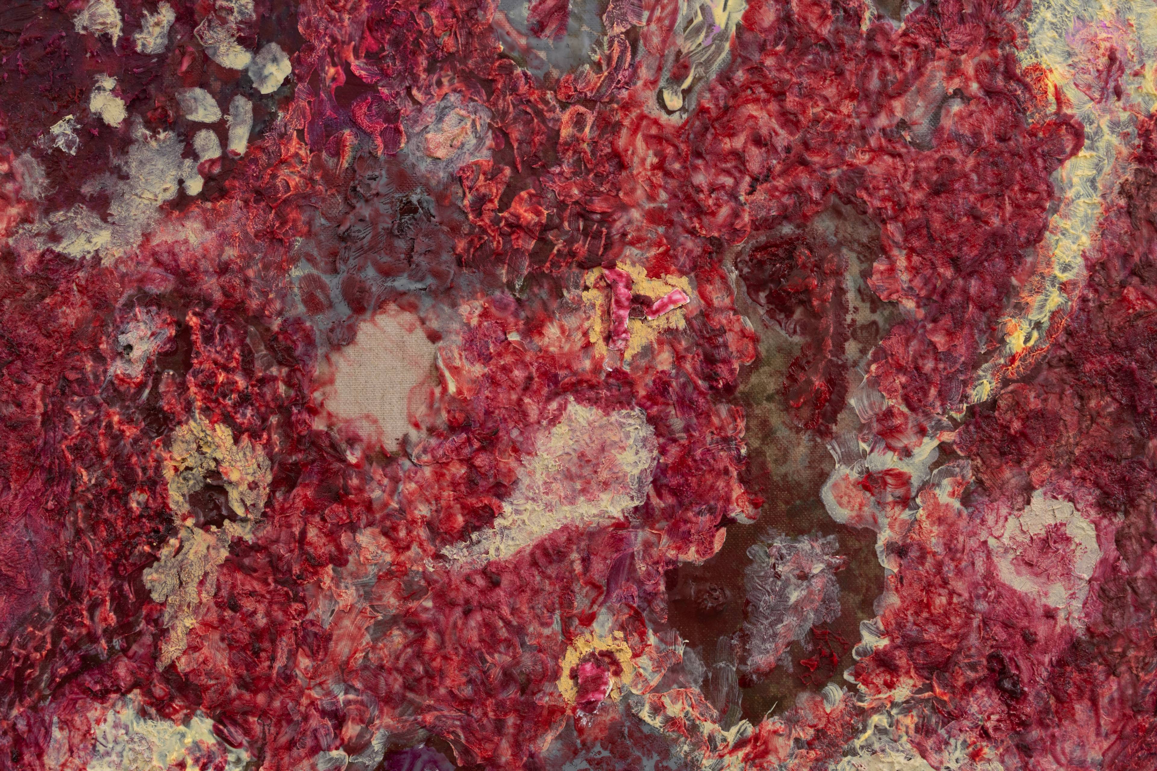 Media © Sweetwater 2025