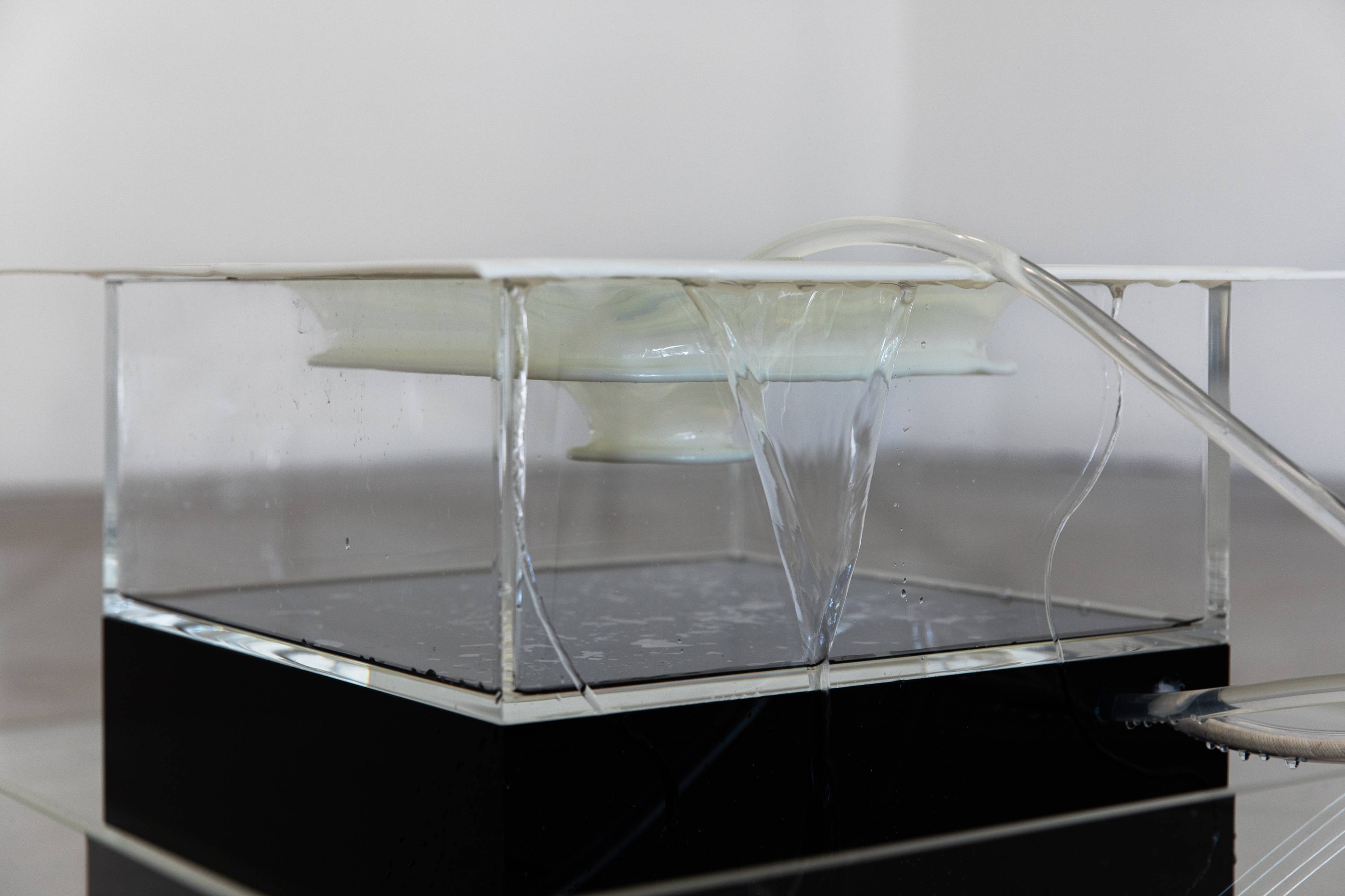 Media © Sweetwater 2025