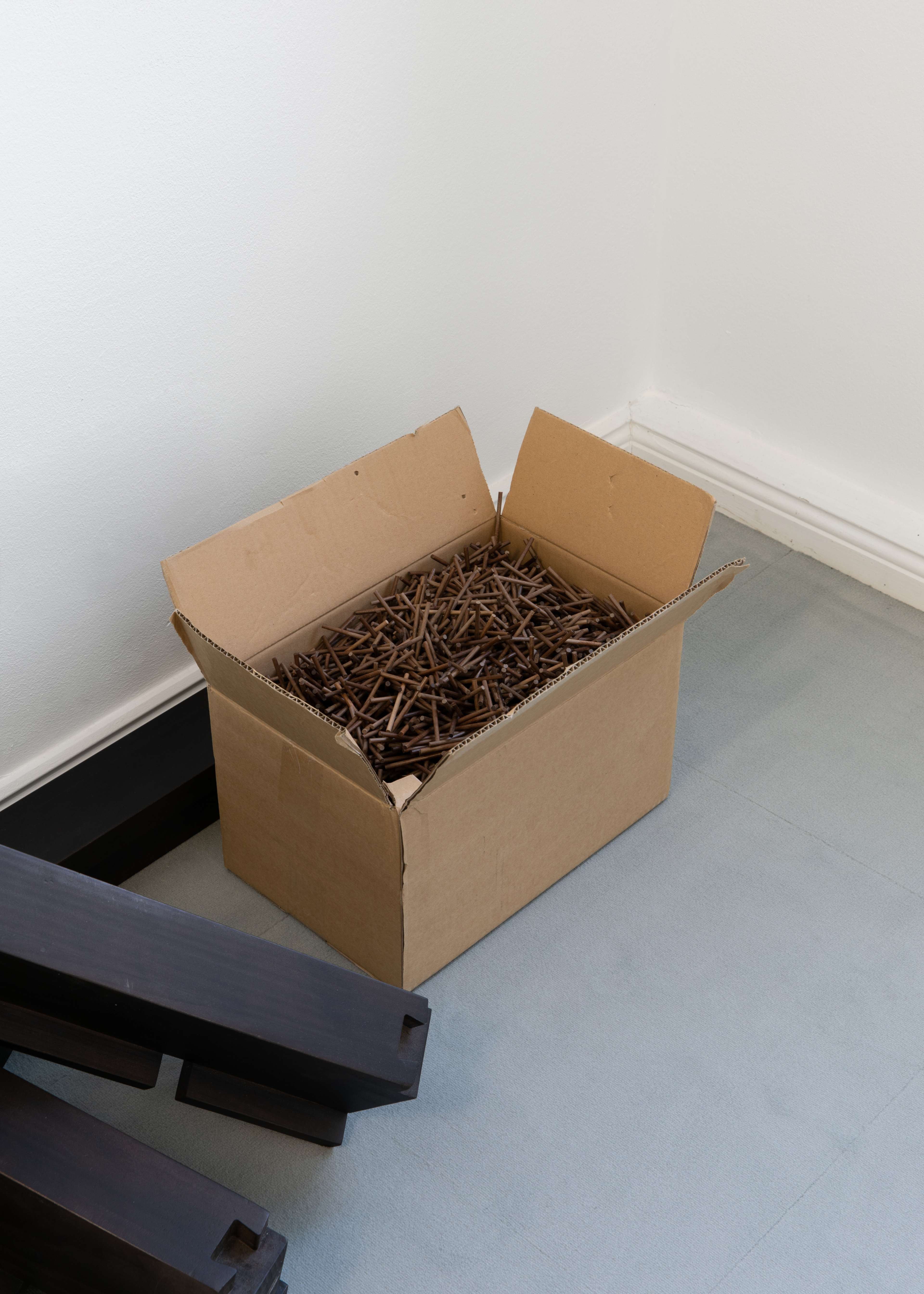 Media © Sweetwater 2025