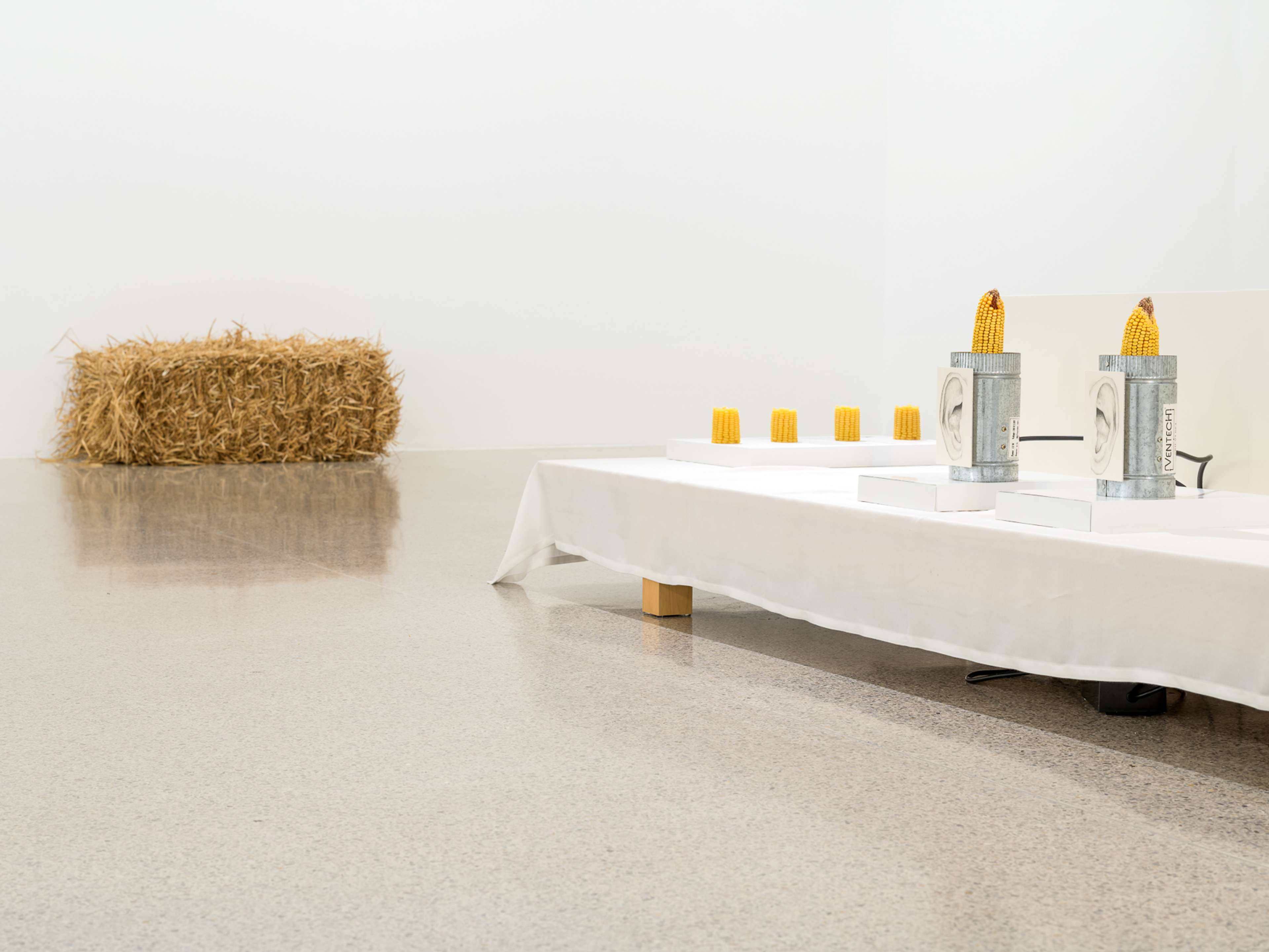 Media © Sweetwater 2025