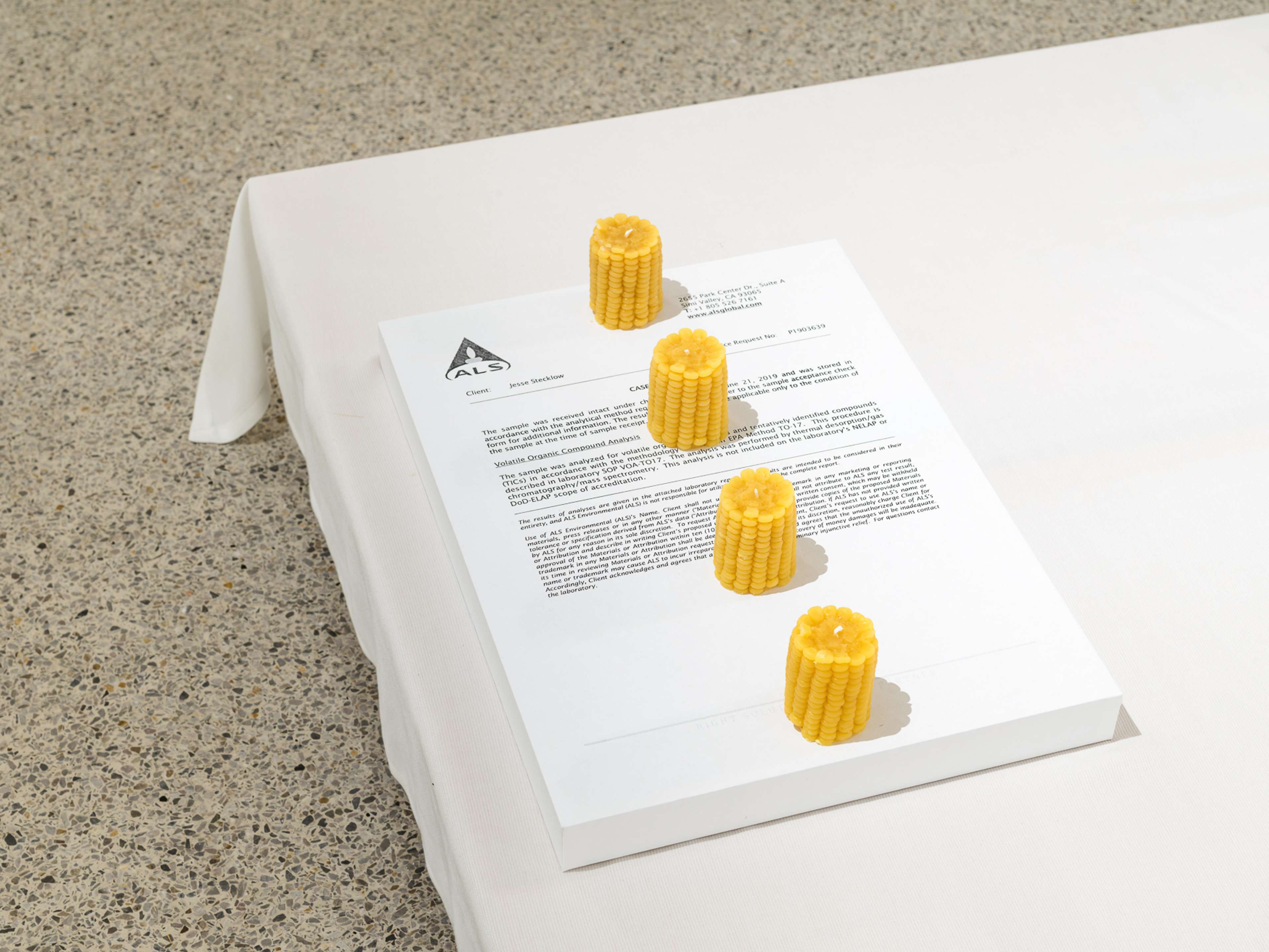 Media © Sweetwater 2025