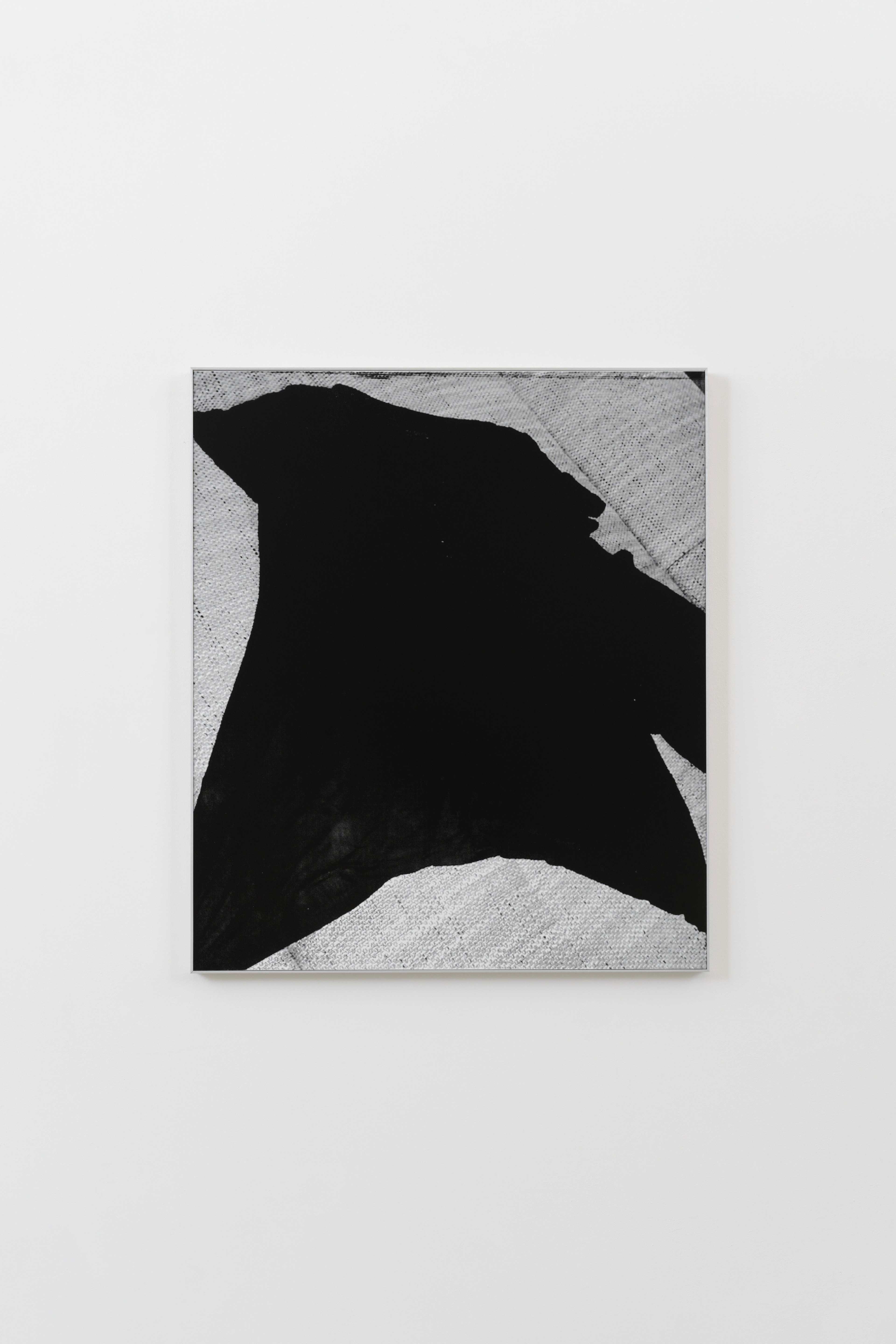 Hanna Stiegeler