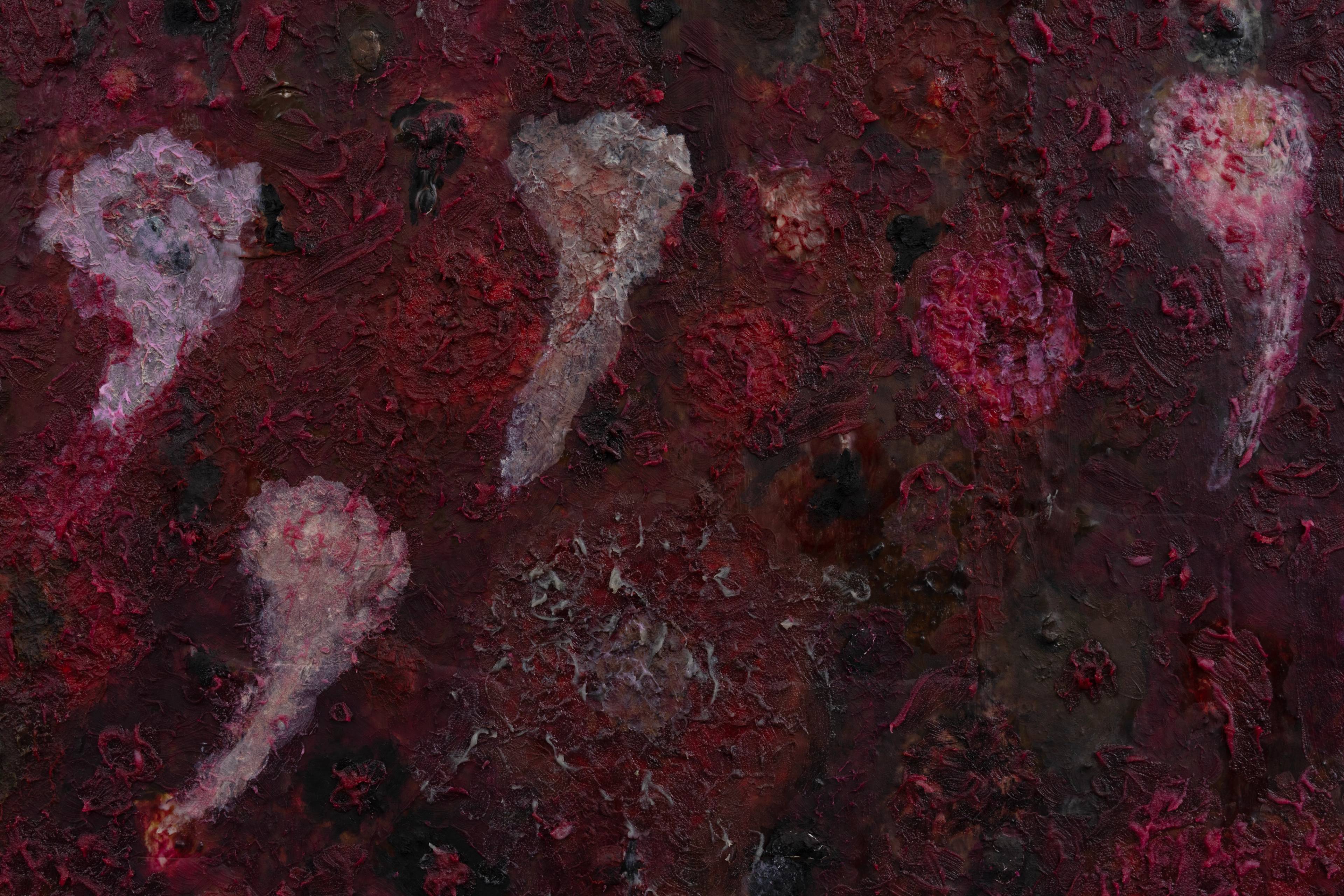 Media © Sweetwater 2025