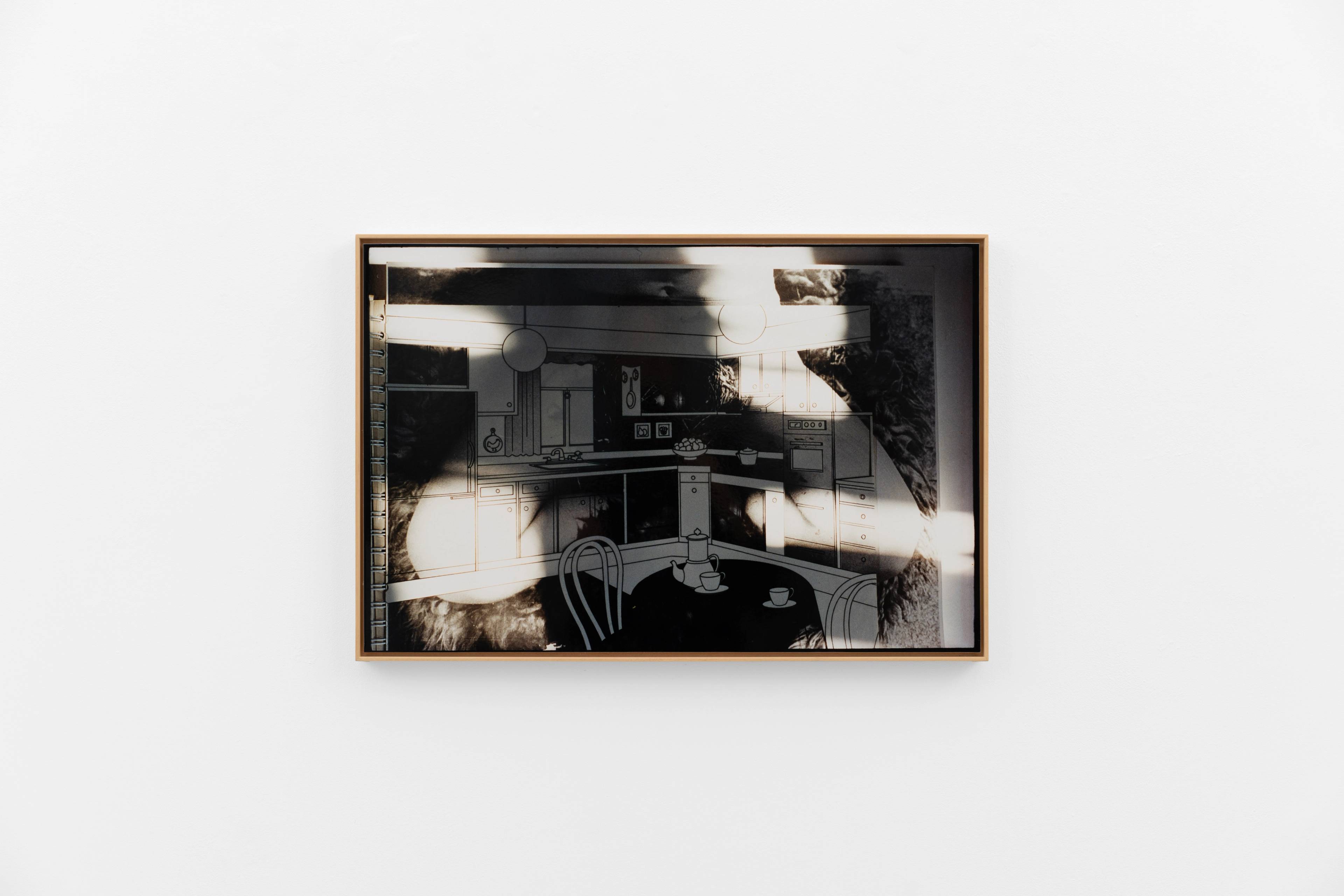 Media © Sweetwater 2025