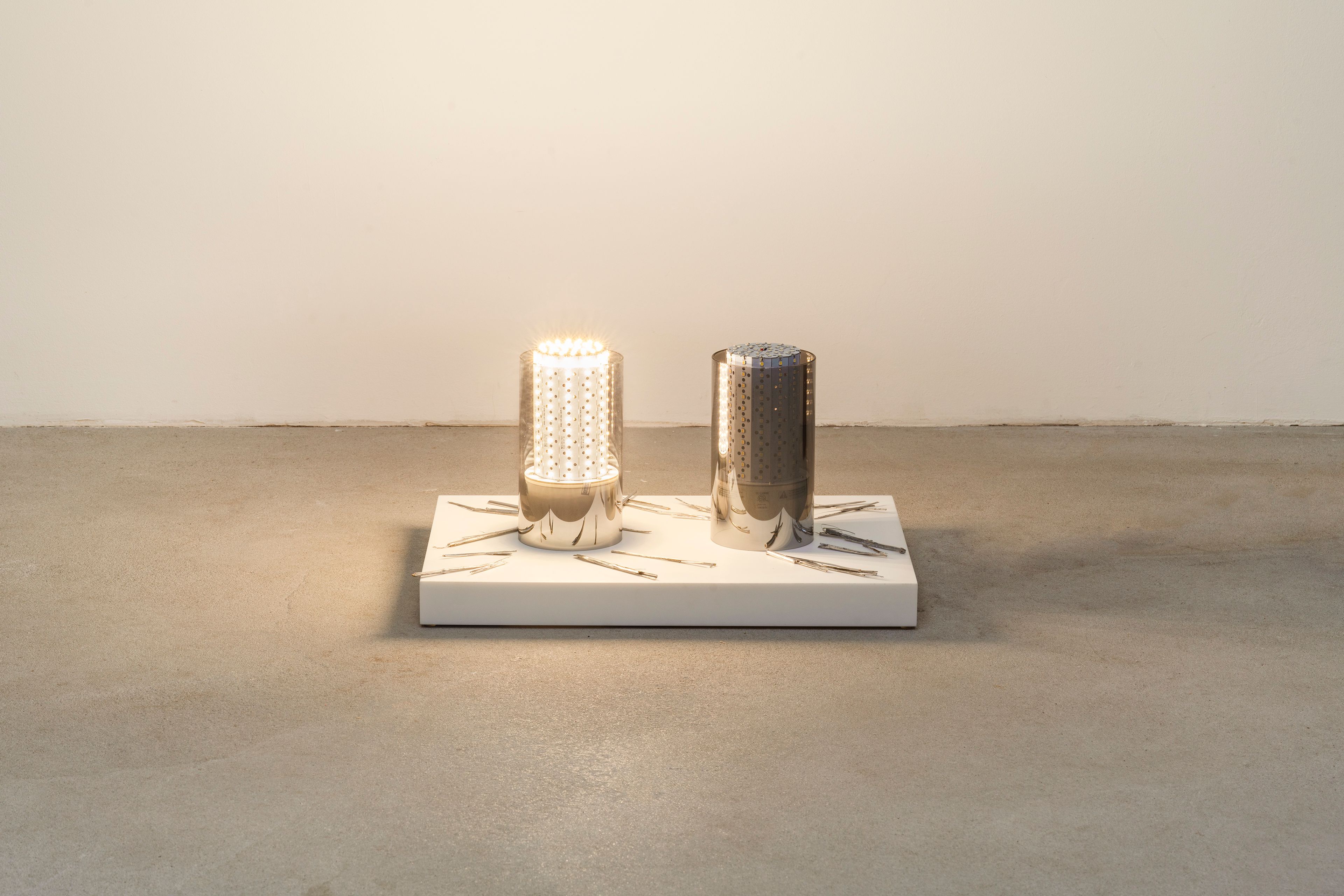 Jesse Stecklow