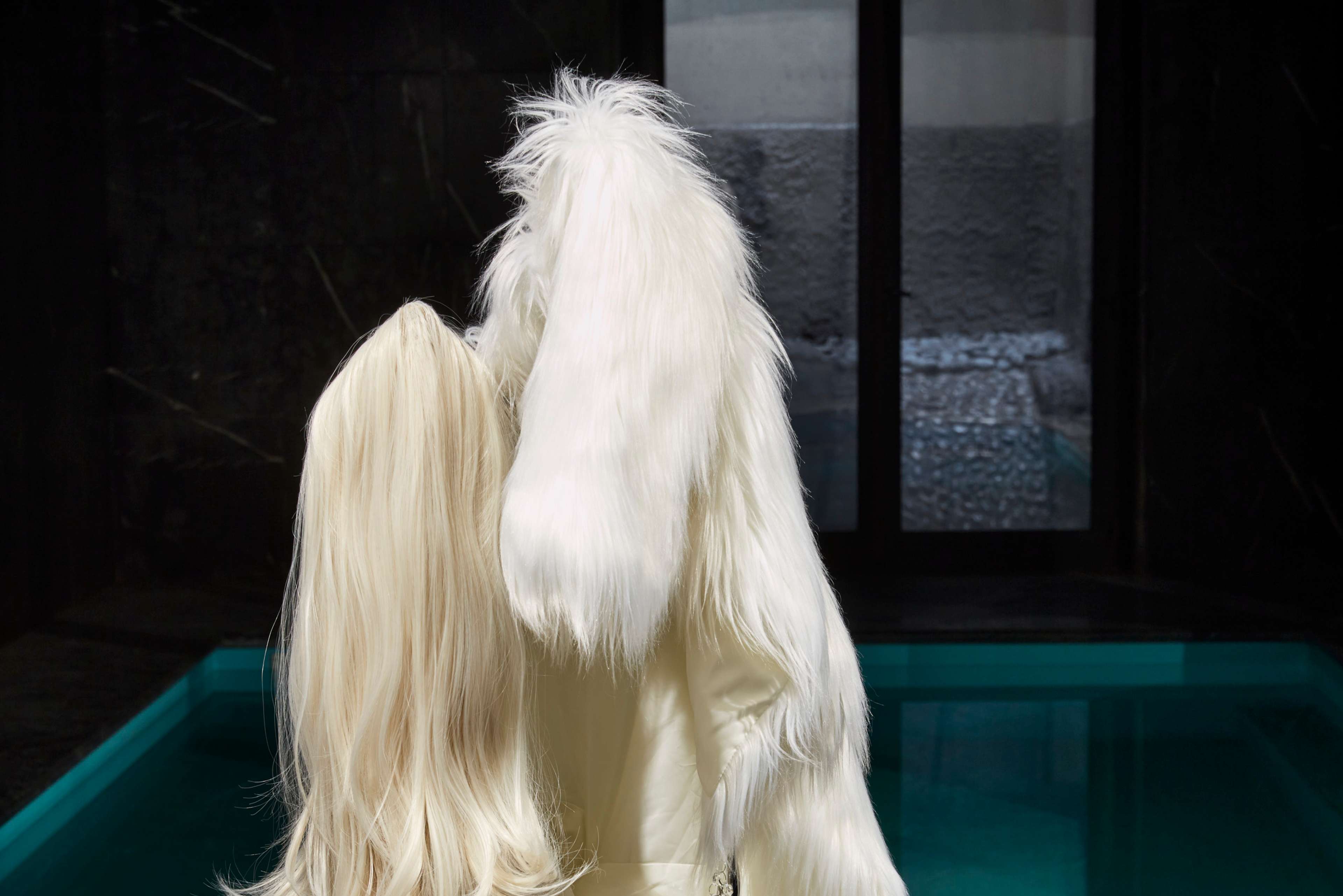 Media © Sweetwater 2025