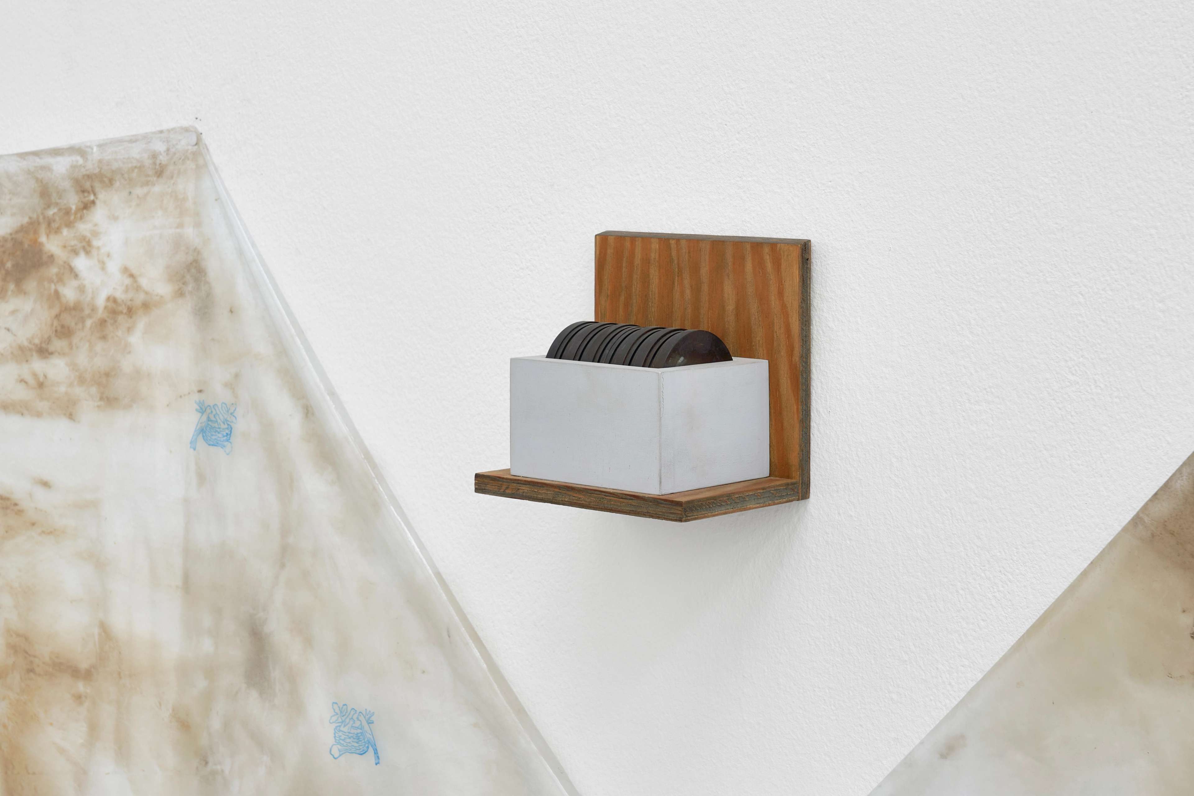 Media © Sweetwater 2025