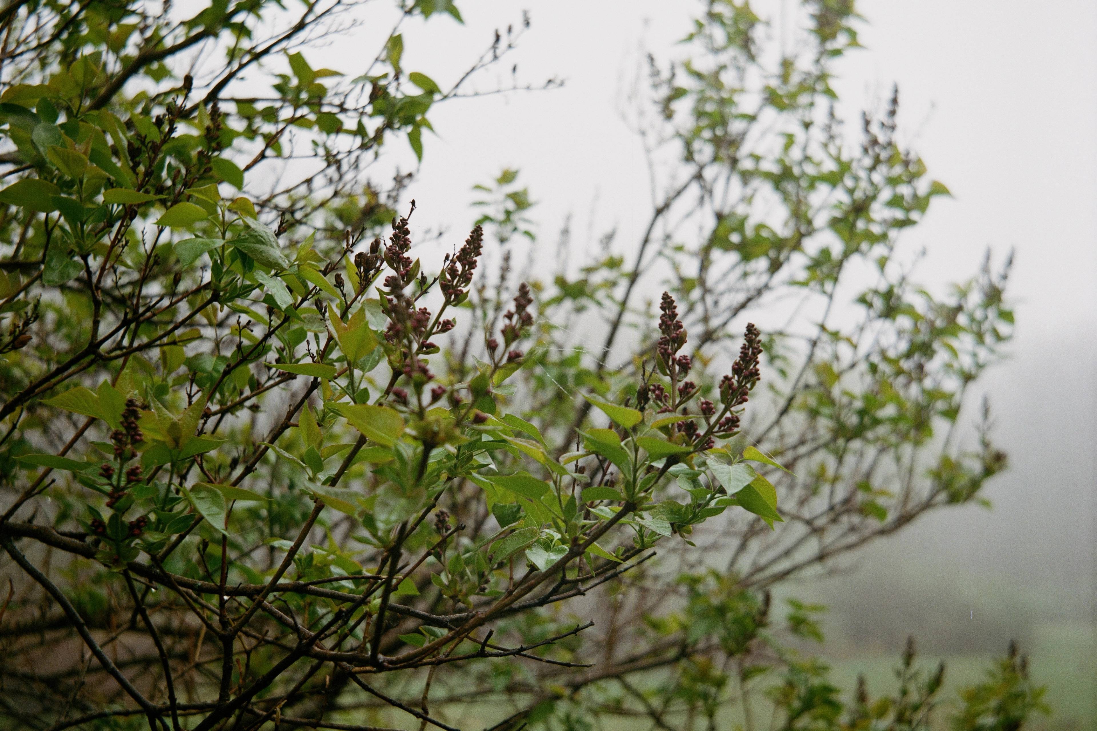 Media © Sweetwater 2025