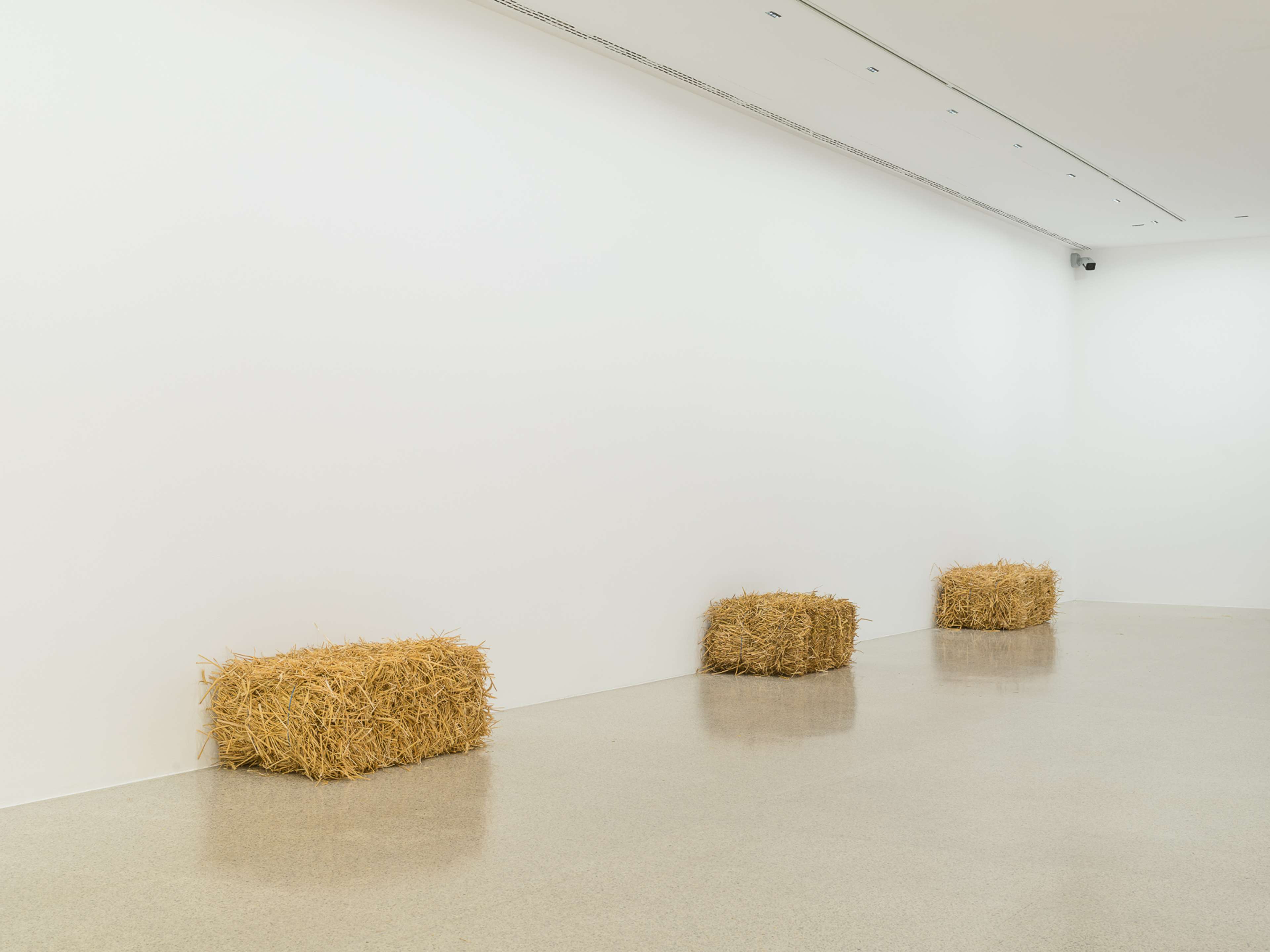 Media © Sweetwater 2025