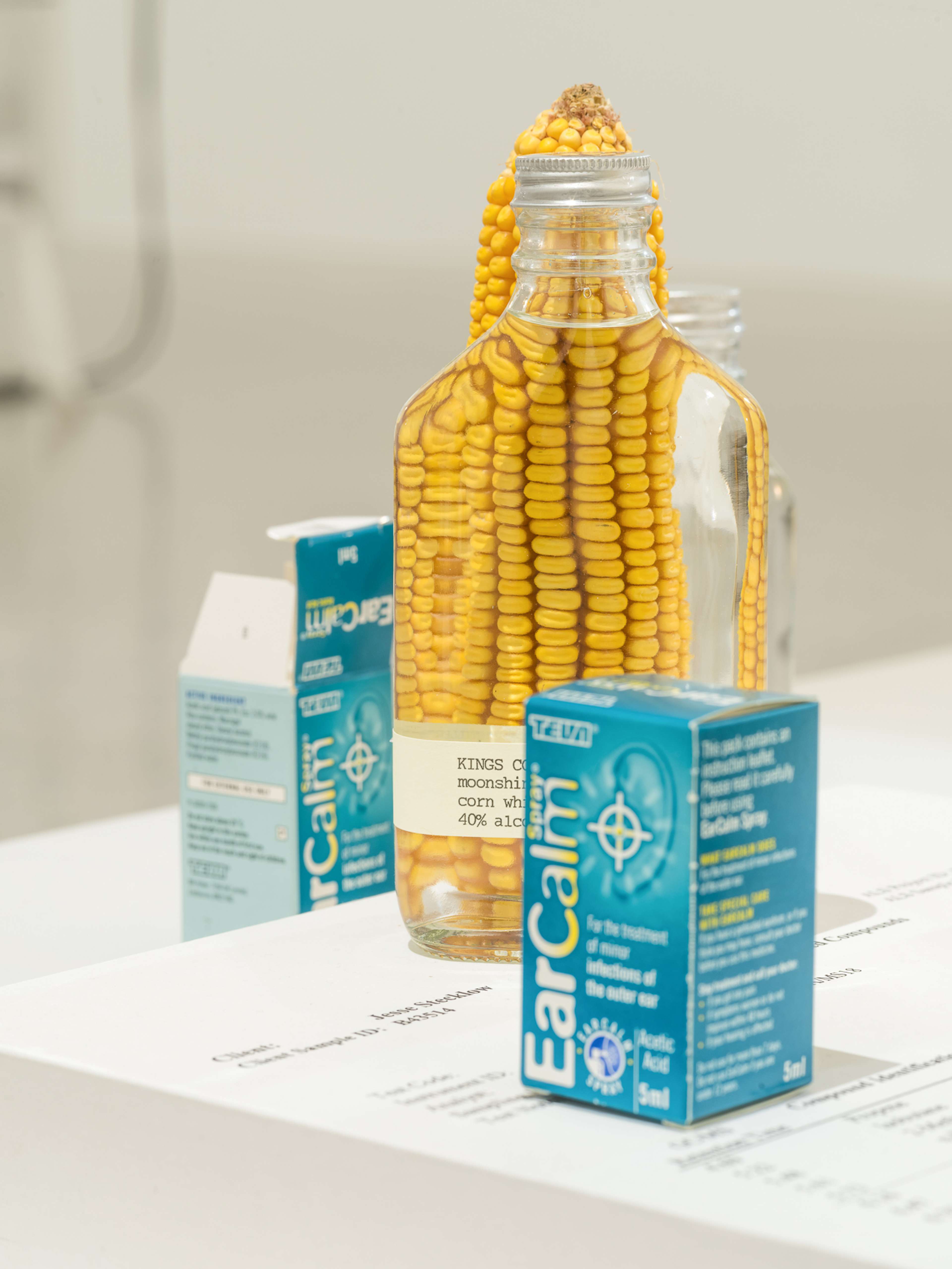 Media © Sweetwater 2025