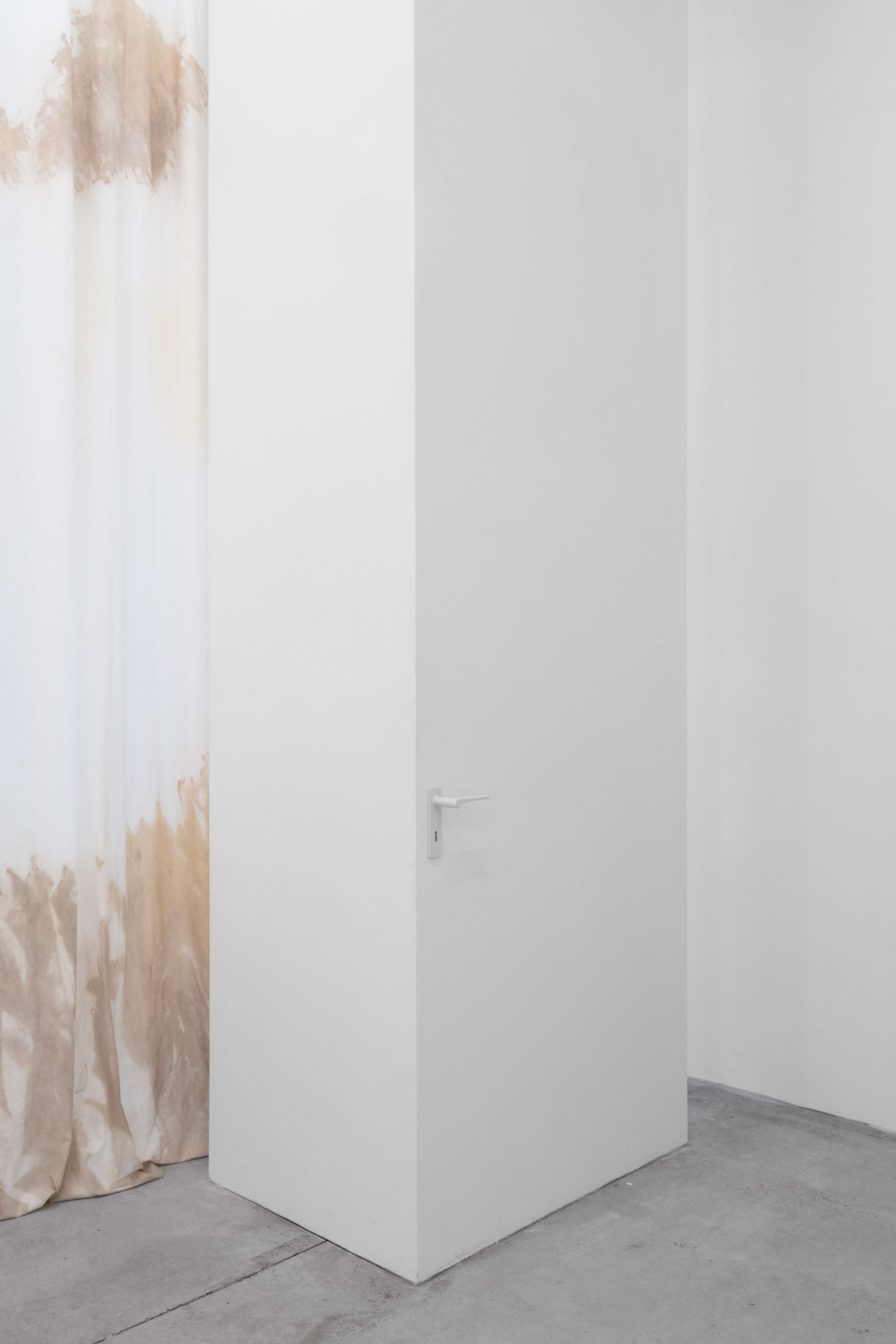 Media © Sweetwater 2025