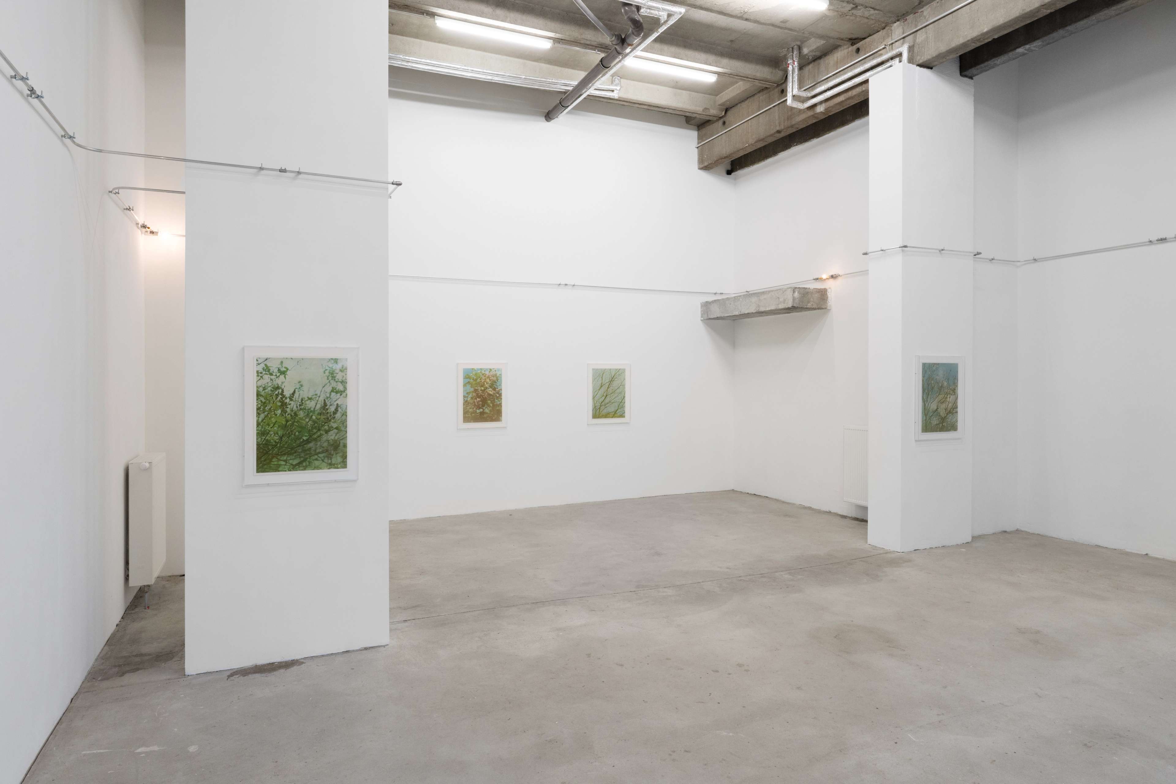 Media © Sweetwater 2025