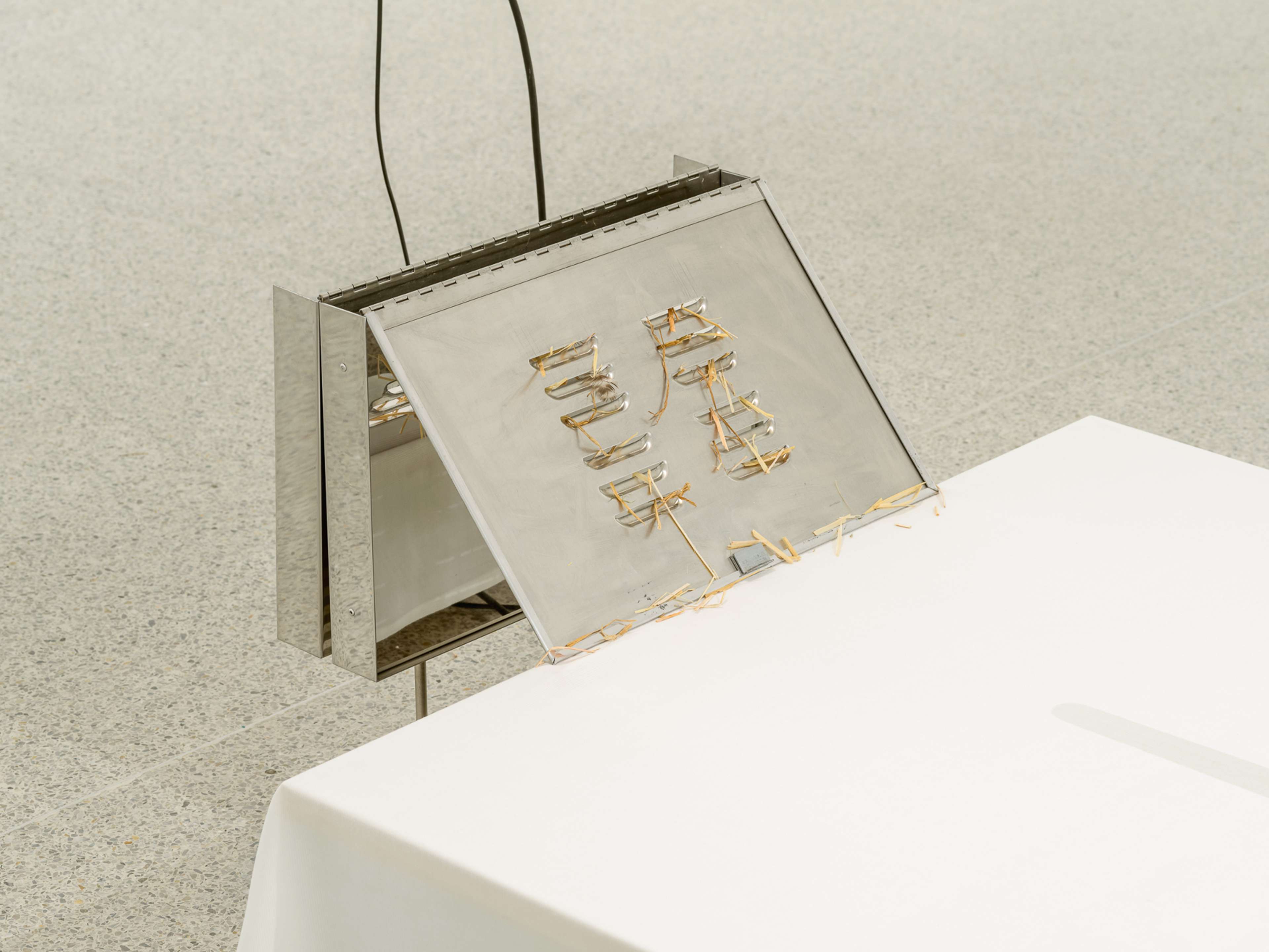 Media © Sweetwater 2025