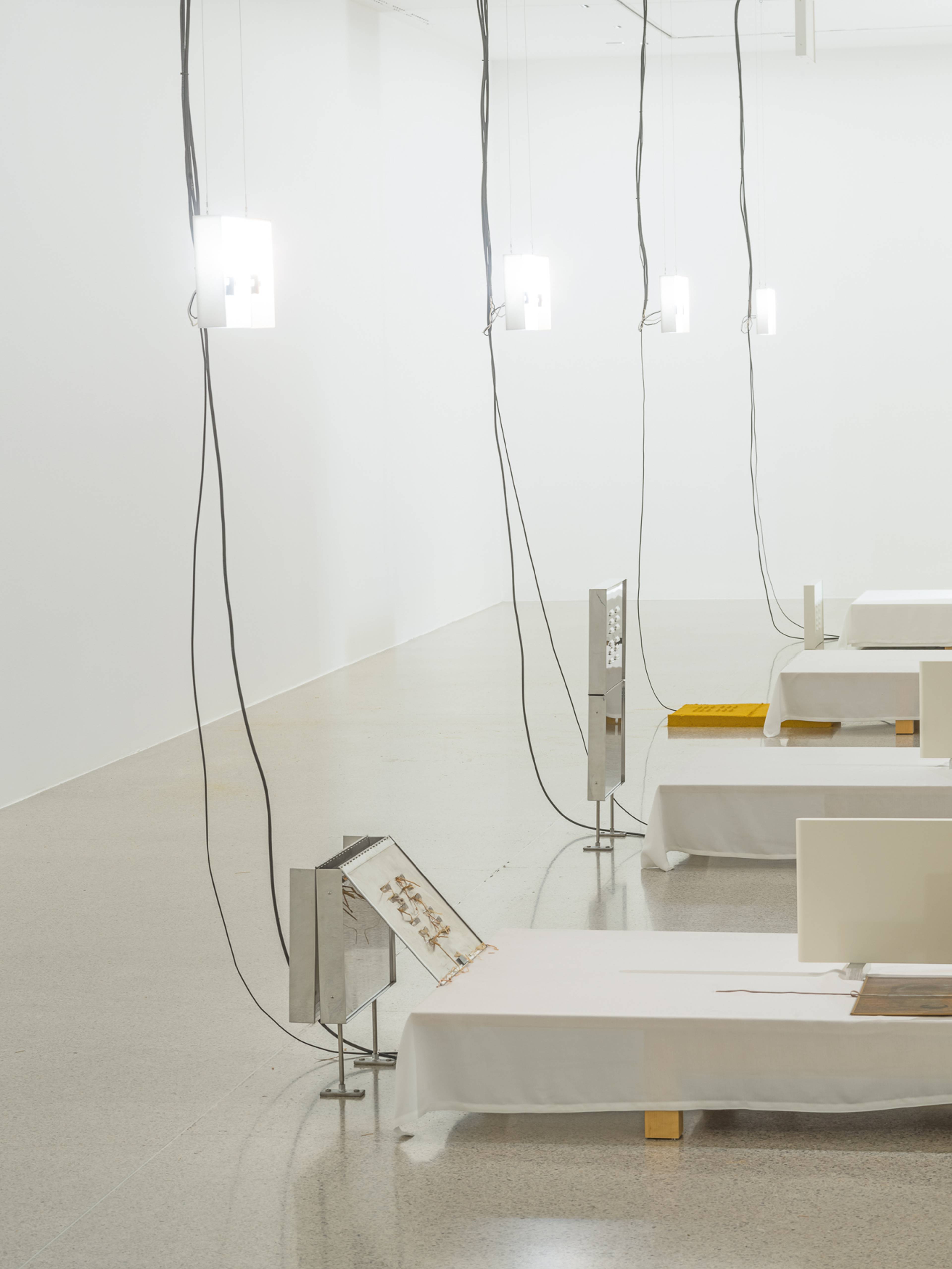 Media © Sweetwater 2025