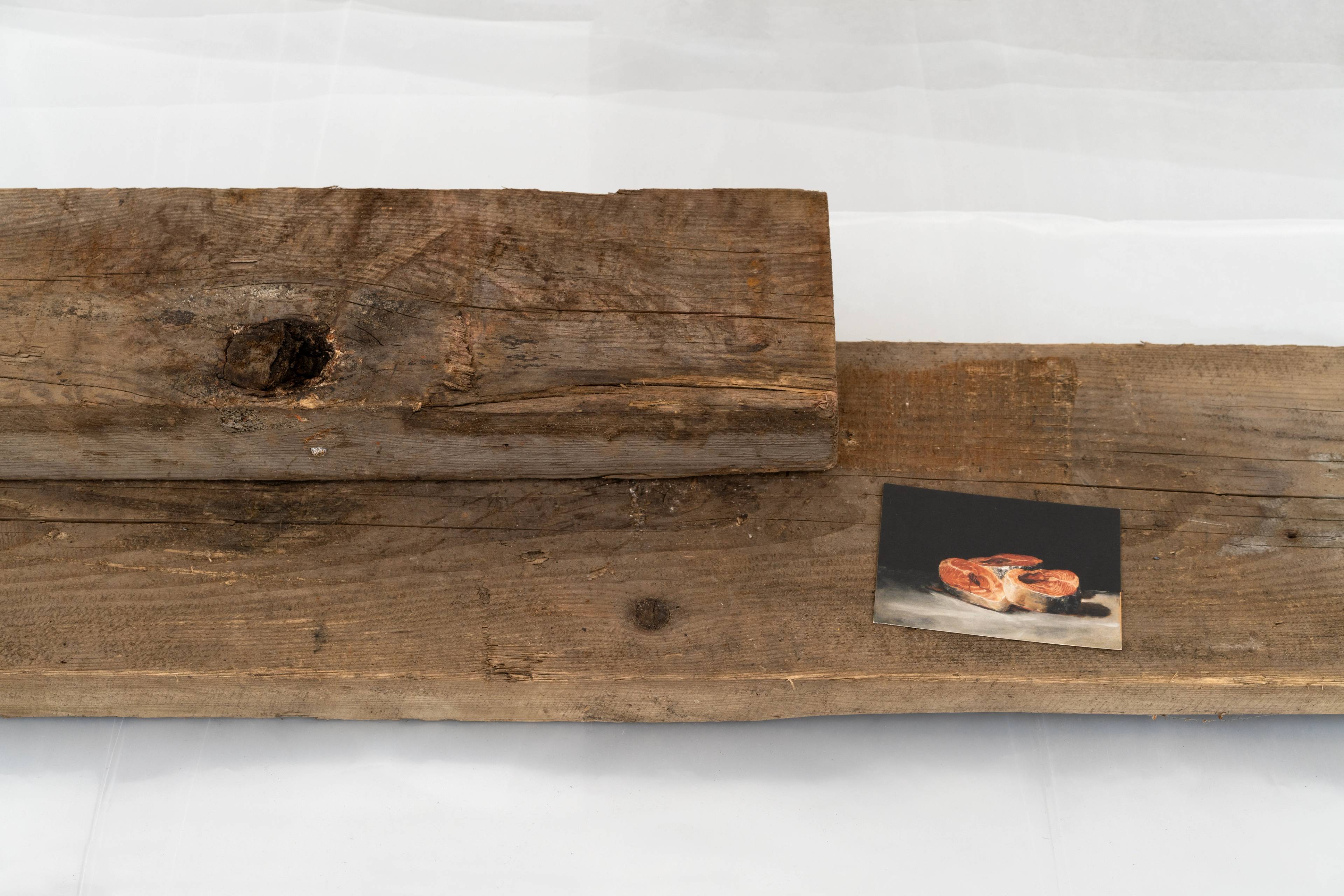 Media © Sweetwater 2025