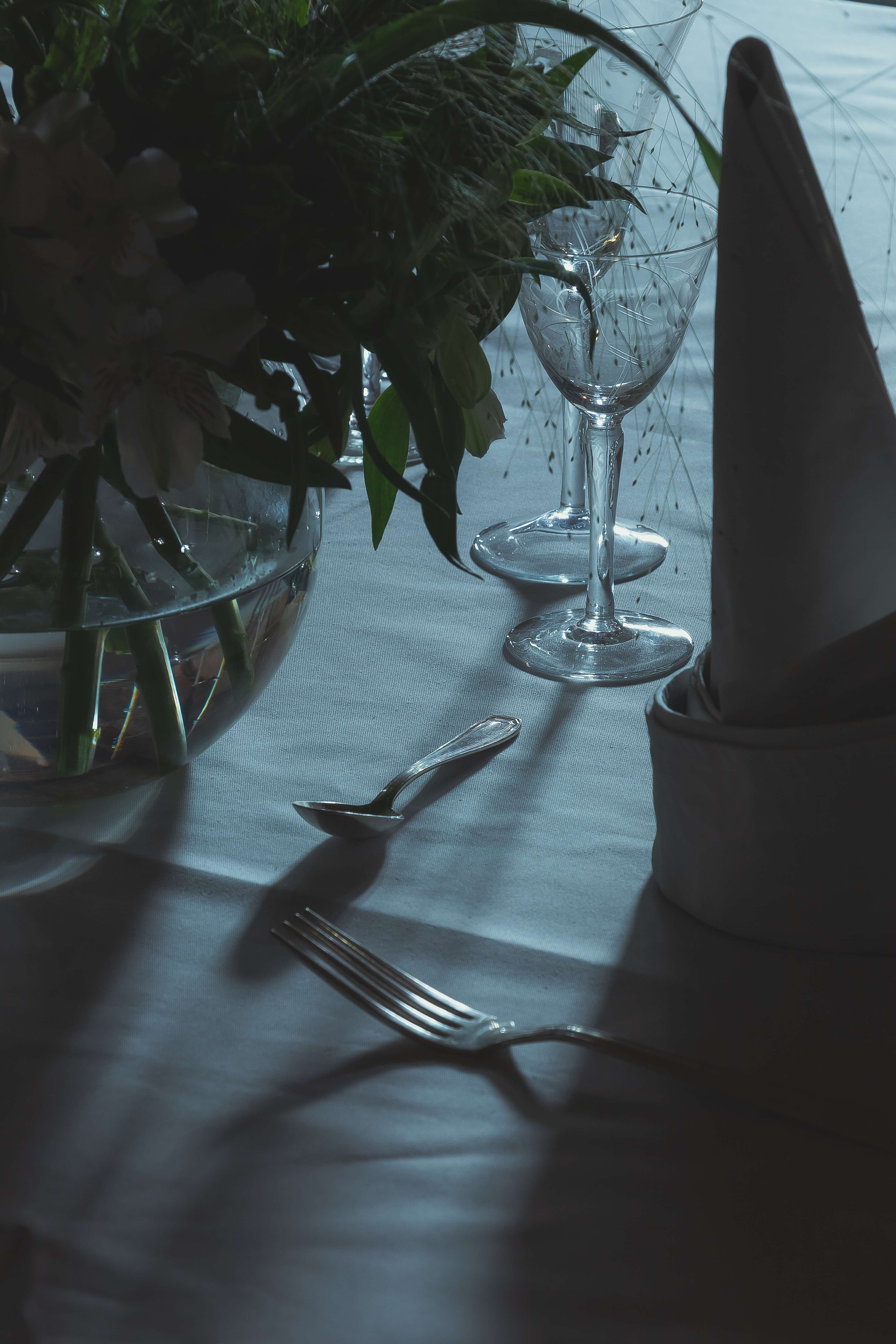 Media © Sweetwater 2025