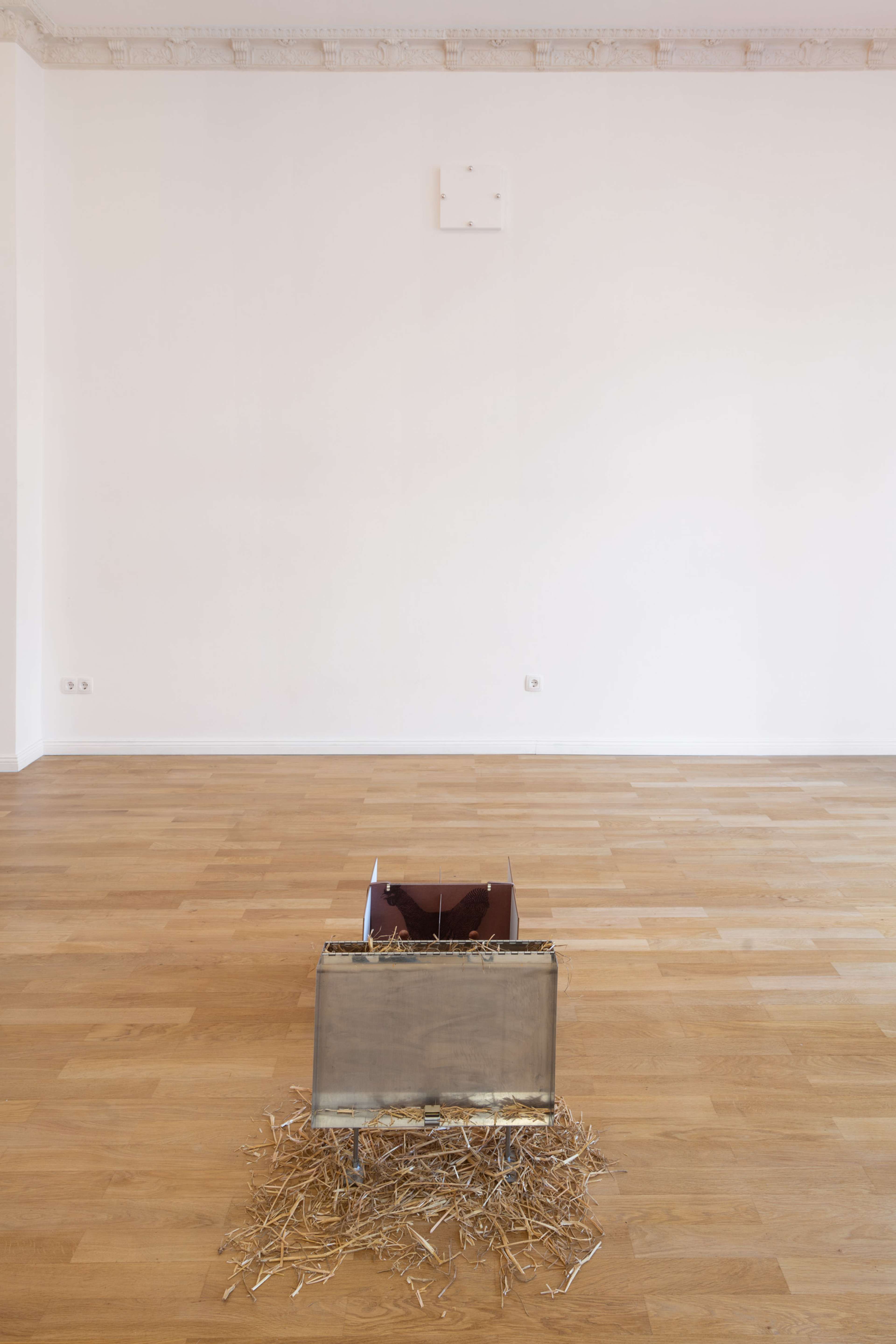 Media © Sweetwater 2025