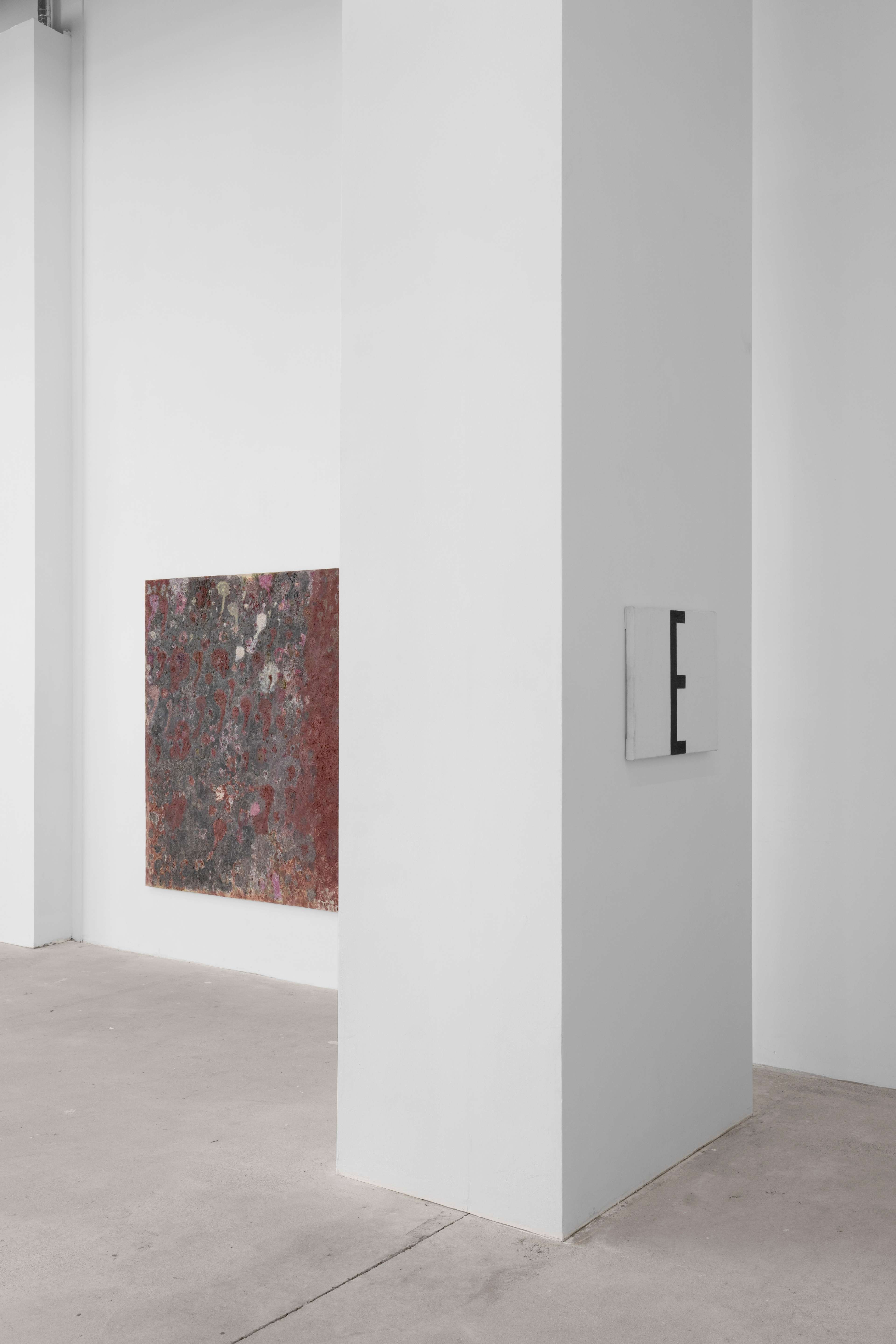 Media © Sweetwater 2025