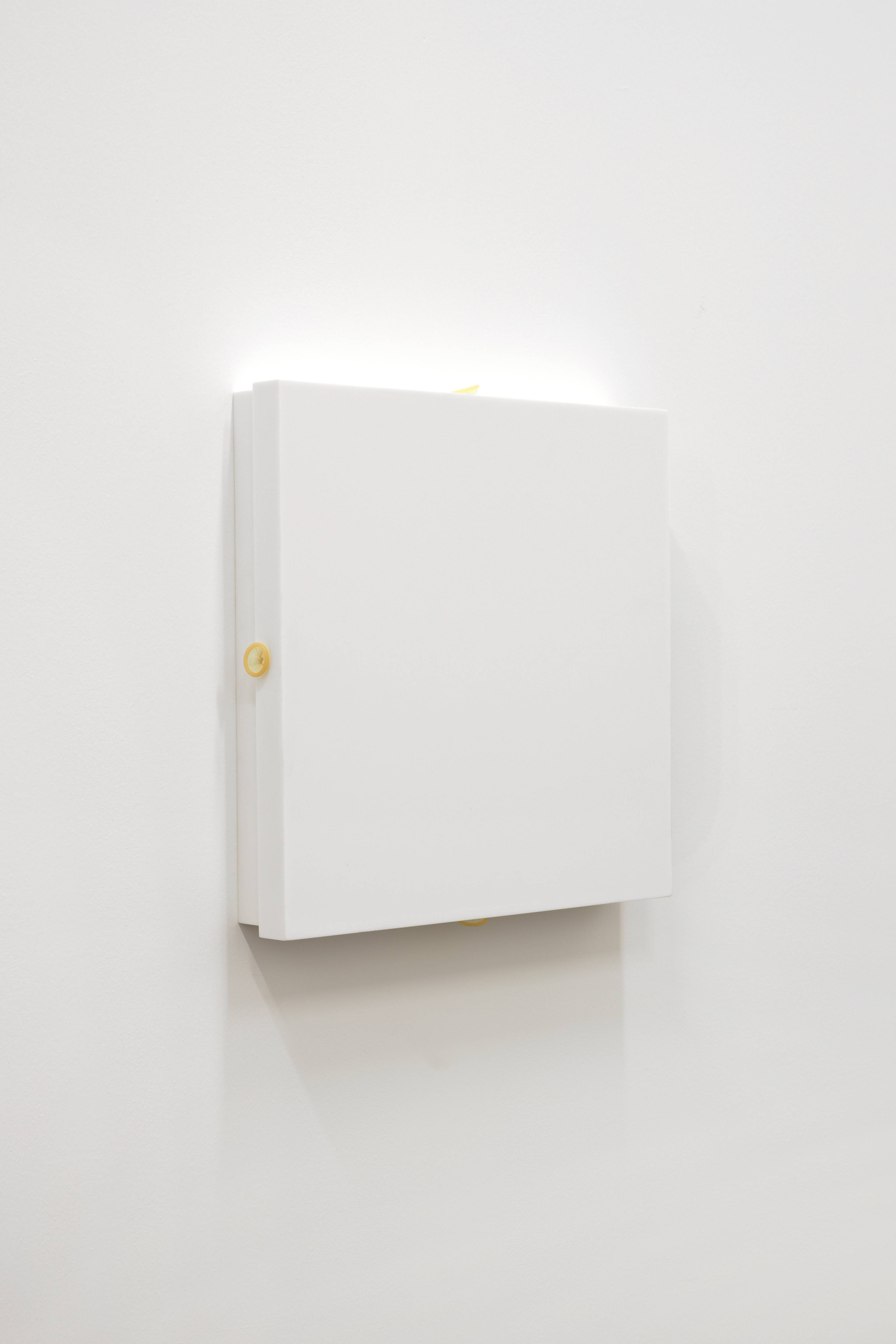 Media © Sweetwater 2025