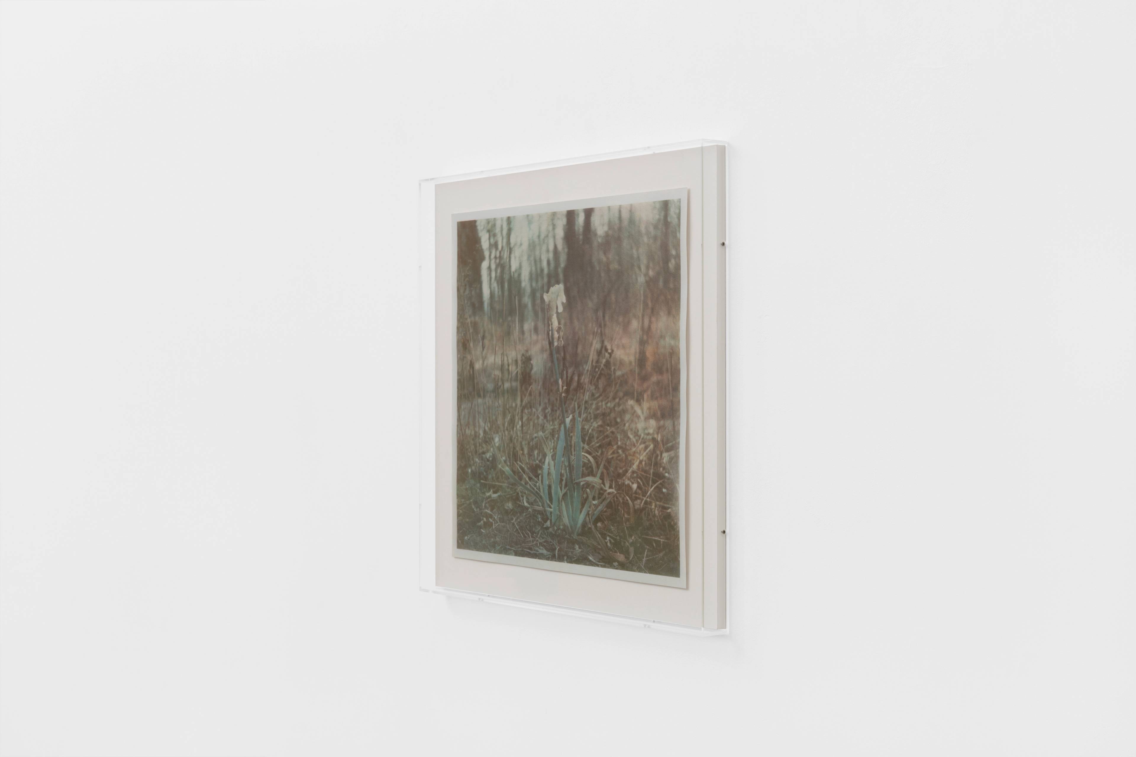 Media © Sweetwater 2025