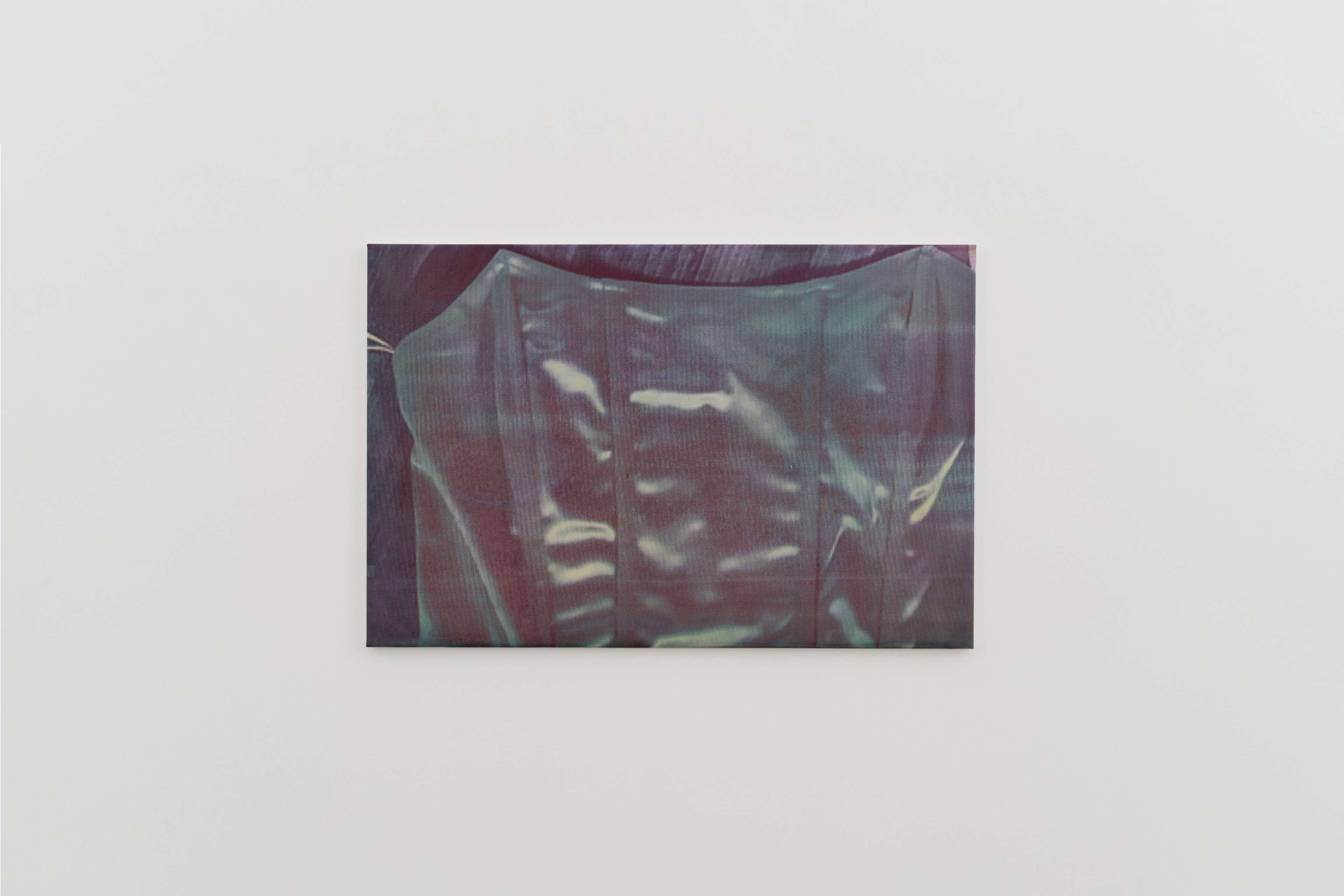 Hanna Stiegeler, ‘2658948151 (Purple)’, 2023. Gouache and pigment screen print on canvas, 27 1/8 x 40 1/2 in, 69 x 103 cm. Courtesy of the artist and Sweetwater, Berlin. Photography by Joanna Wilk